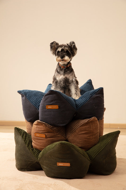 Dog Beds Adjustable Blue Premium Pet Supply Premium Pet Supp - main product image