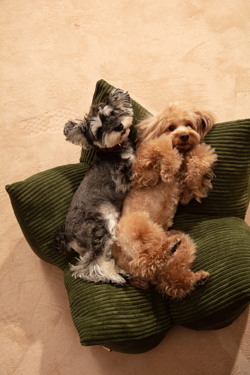 Dog Beds Adjustable Blue Premium Pet Supply Premium Pet Supp - gallery image 16