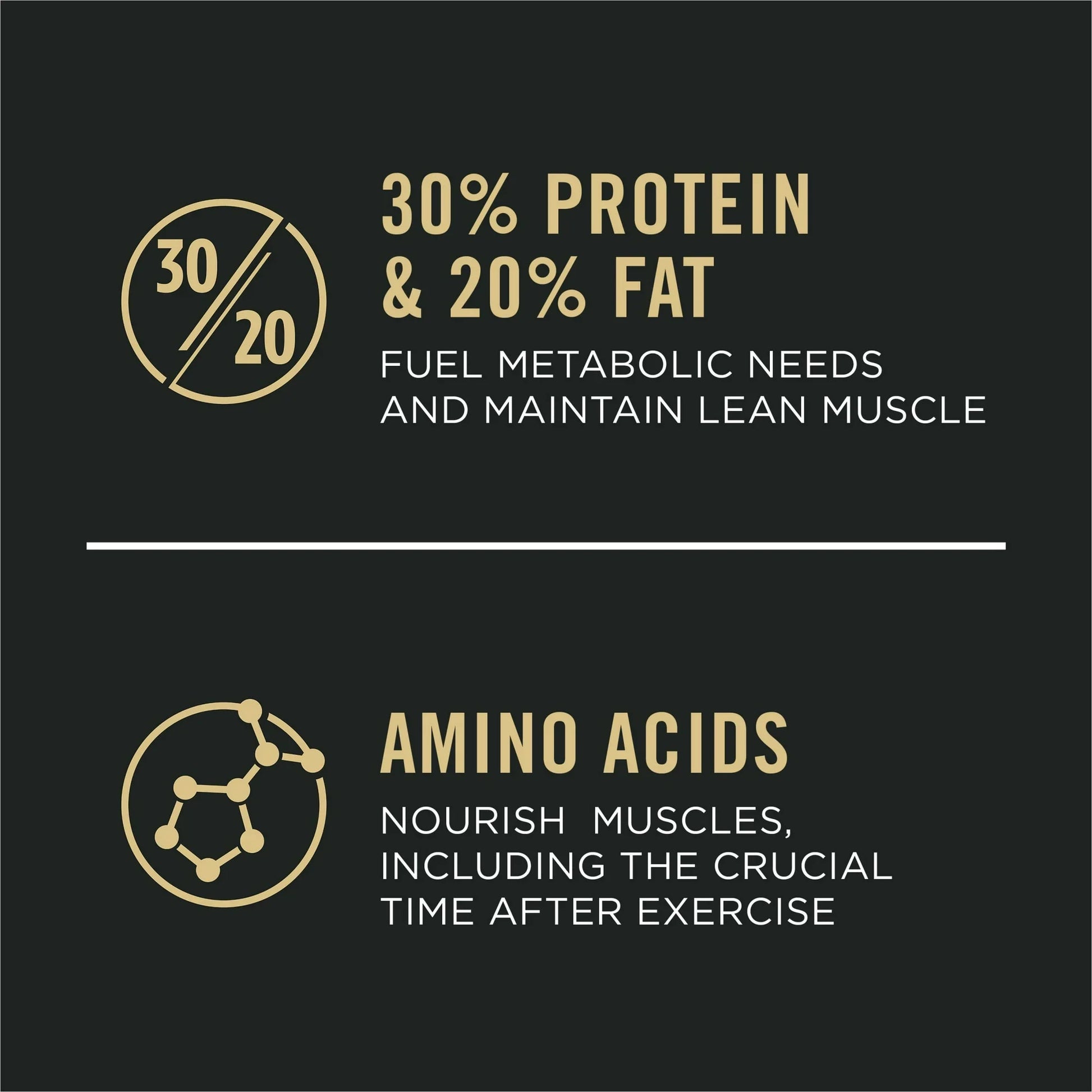 Pro Plan All Ages Sport Performance 30 20 Chicken Rice Dry - lifestyle view