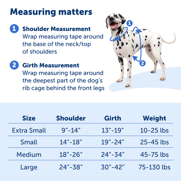 Petsafe Dog Easy Walk Comfort Harness Blue Adjustable Dog - lifestyle view