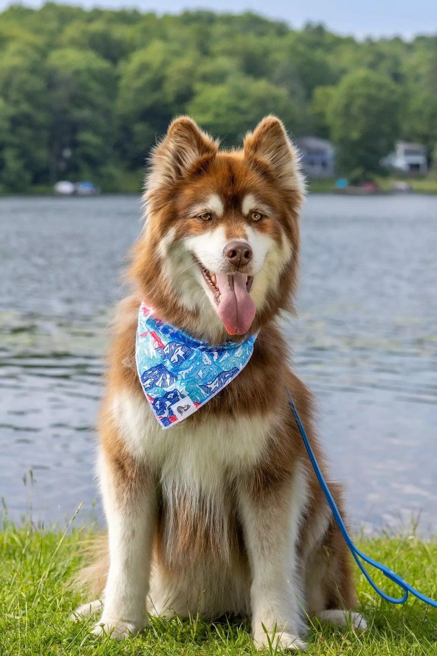 Painted Peaks Dog Bandana Dog Bandanas Premium Pet Supply - detail view