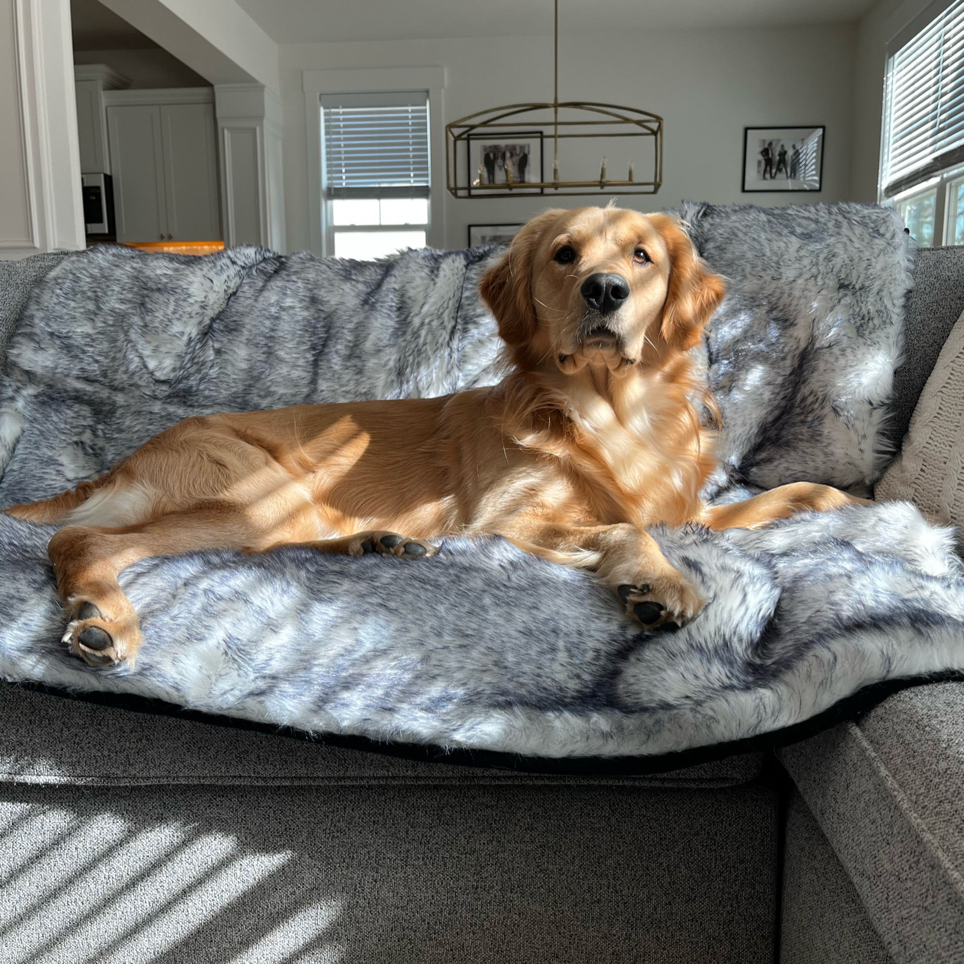 Pupprotector Luxe Waterproof Faux Fur Blanket Ultra Plush - close up view