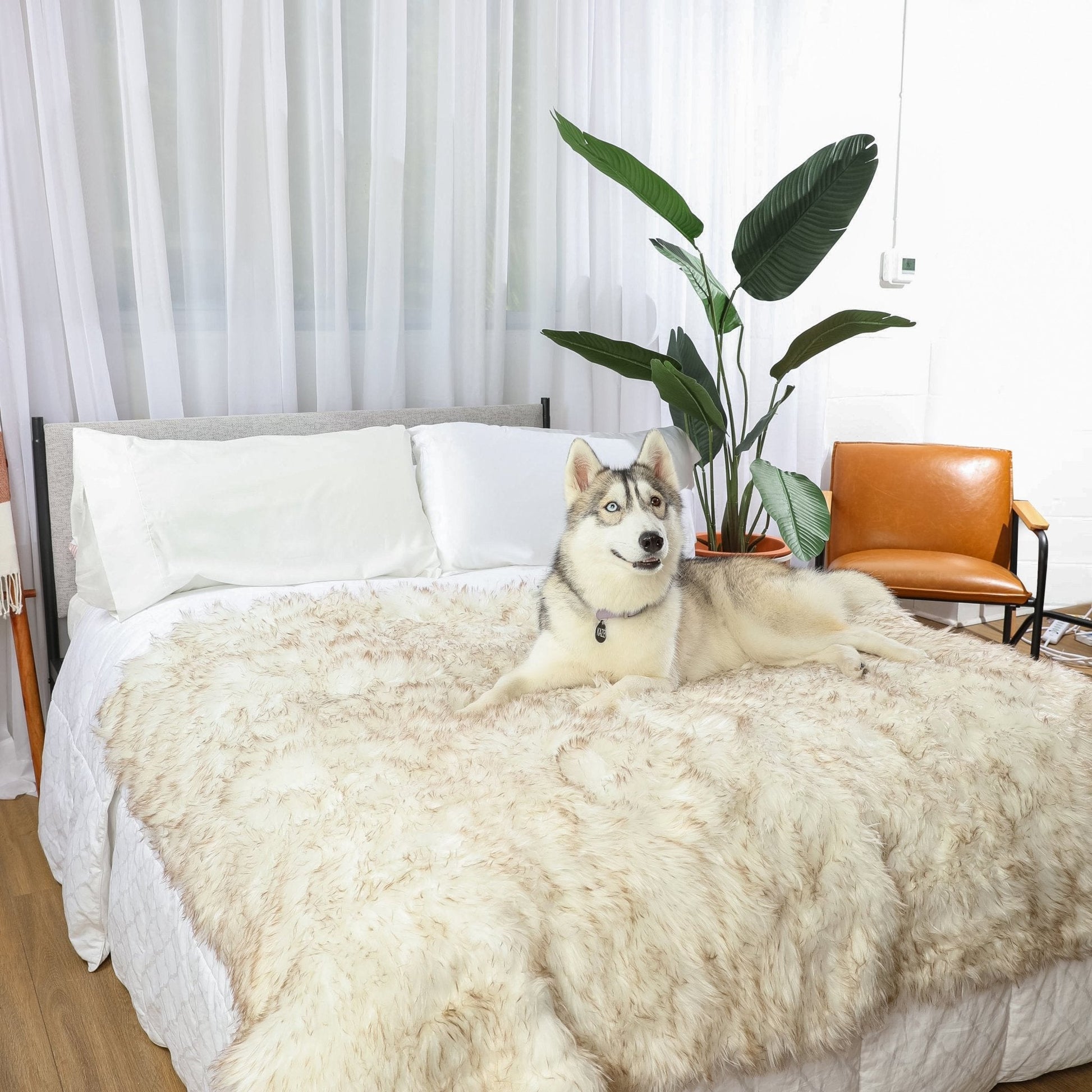 Pupprotector Waterproof Throw Blanket White With Brown Pet - gallery image 11