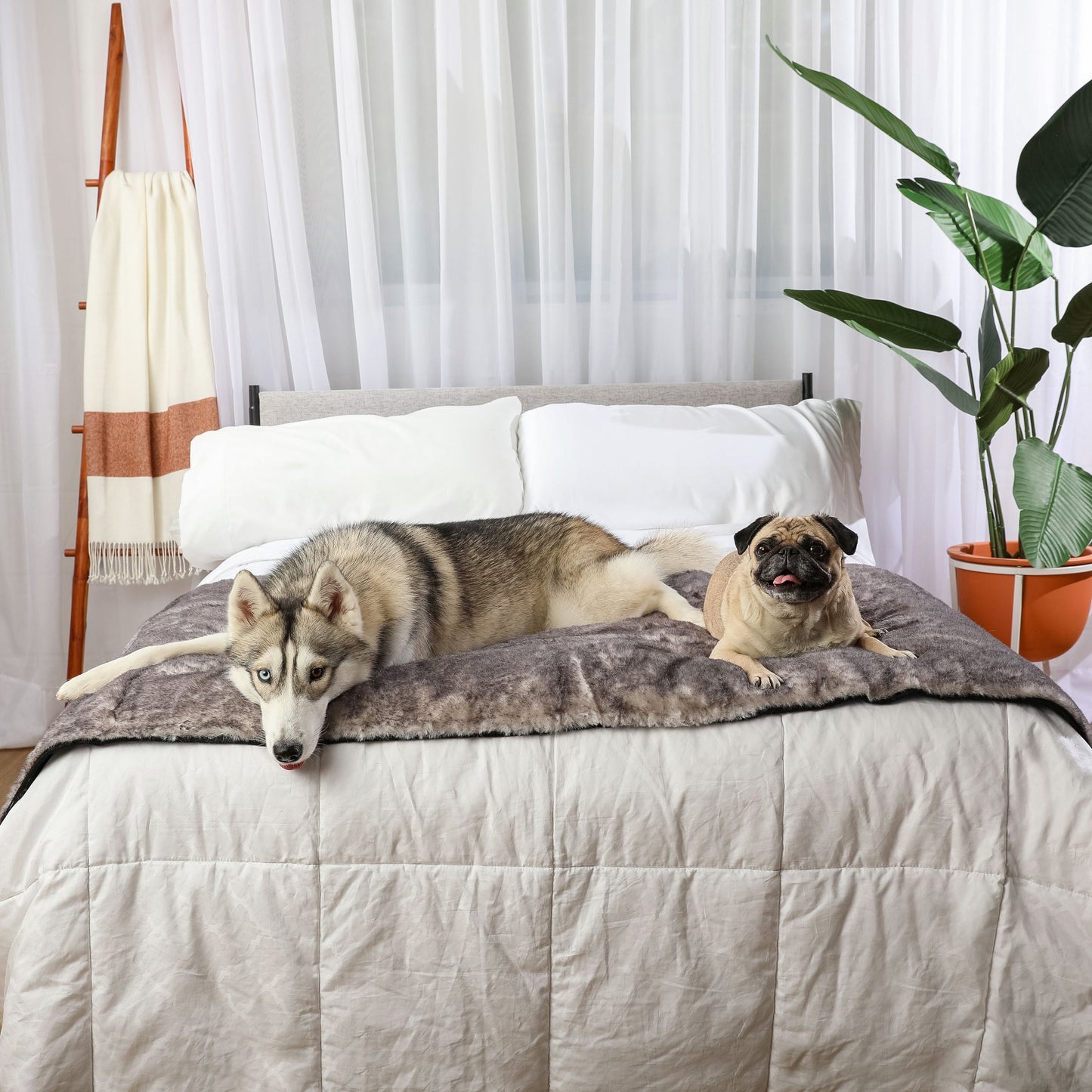 Pupprotector Luxe Waterproof Bed Runner Ultra Soft Washable - gallery image 12