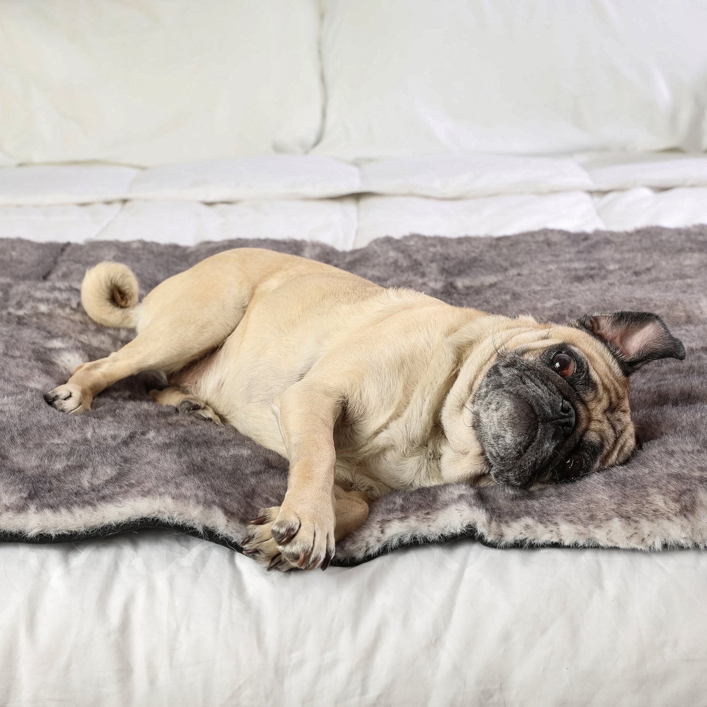 Pupprotector Luxe Waterproof Bed Runner Ultra Soft Washable - gallery image 9