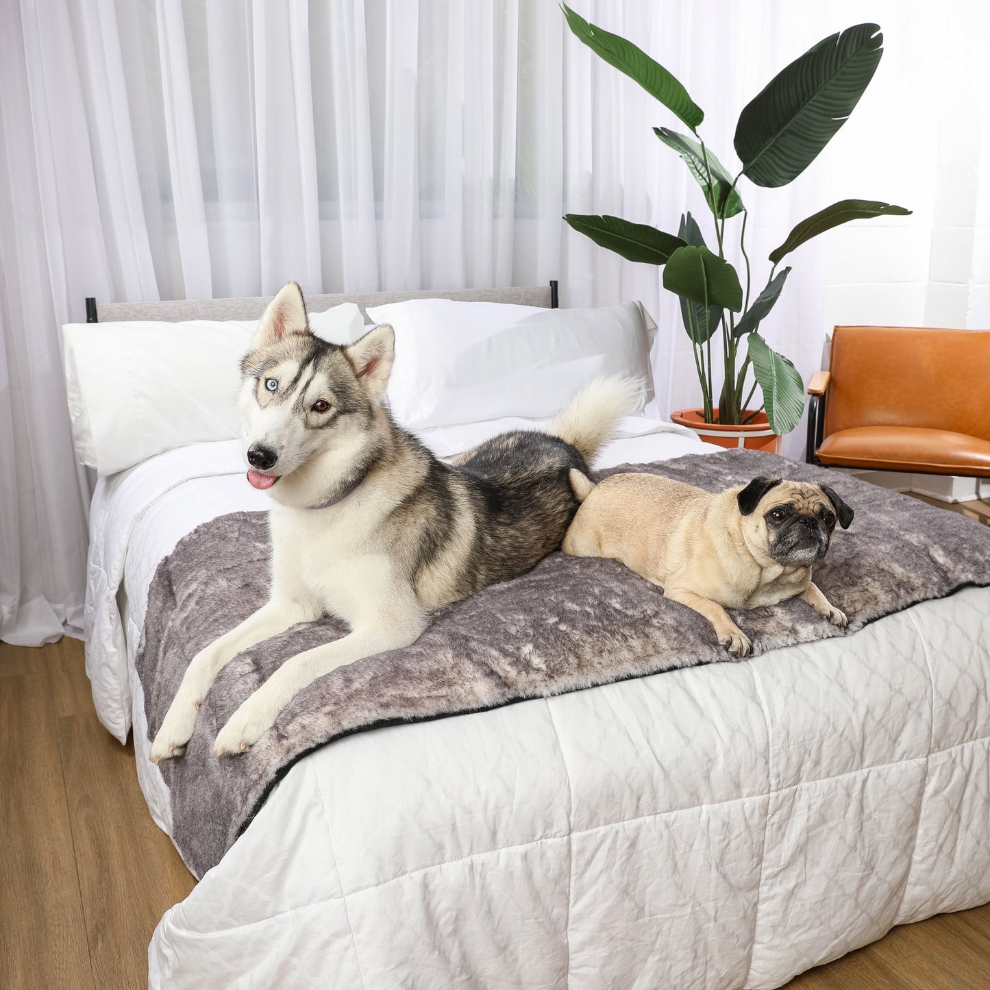 Pupprotector Luxe Waterproof Bed Runner Ultra Soft Washable - main product image