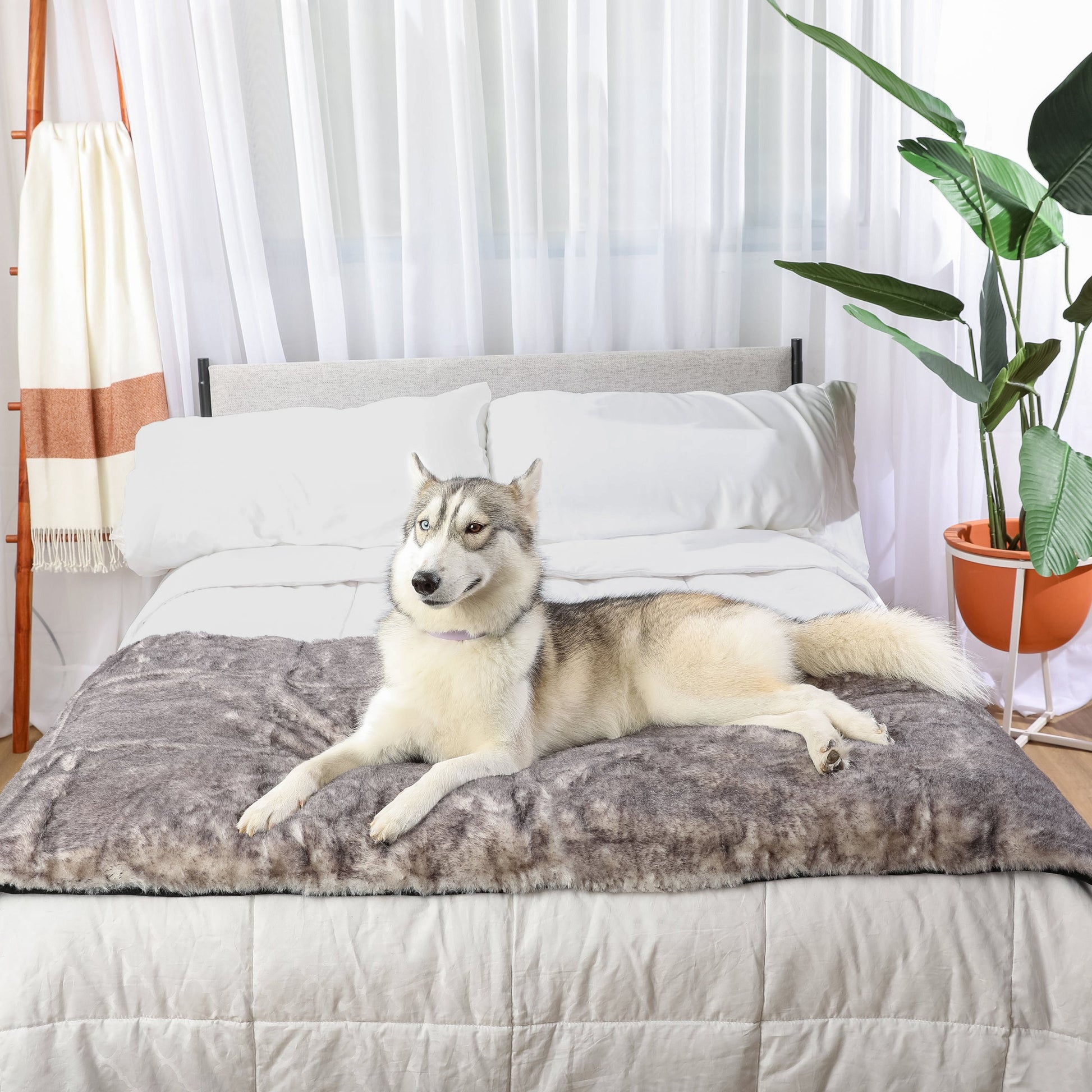 Pupprotector Luxe Waterproof Bed Runner Ultra Soft Washable - gallery image 15