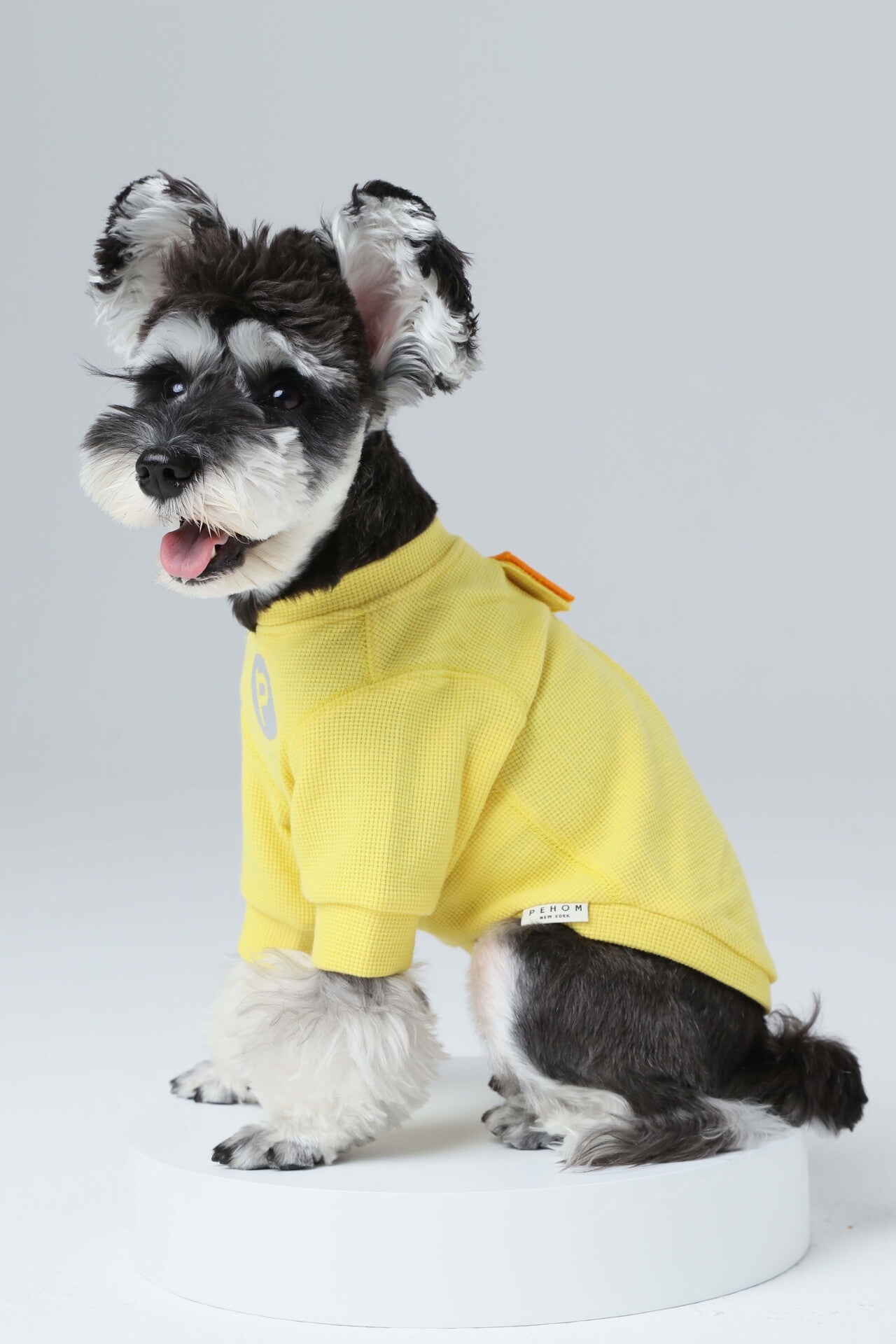 Embroidery Waffle T Shirt Yellow Dog Apparel Premium Pet - lifestyle view