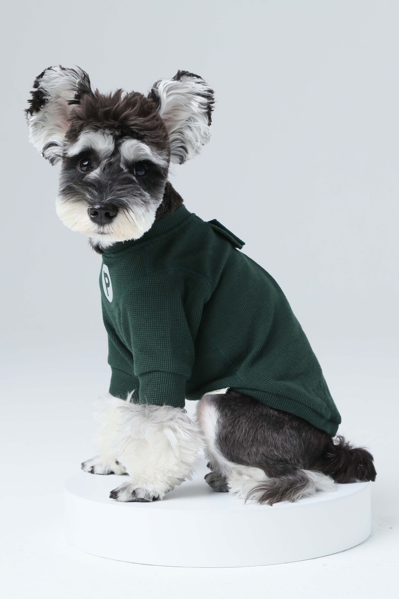 Embroidery Waffle T Shirt Green Dog Apparel Premium Pet - close up view