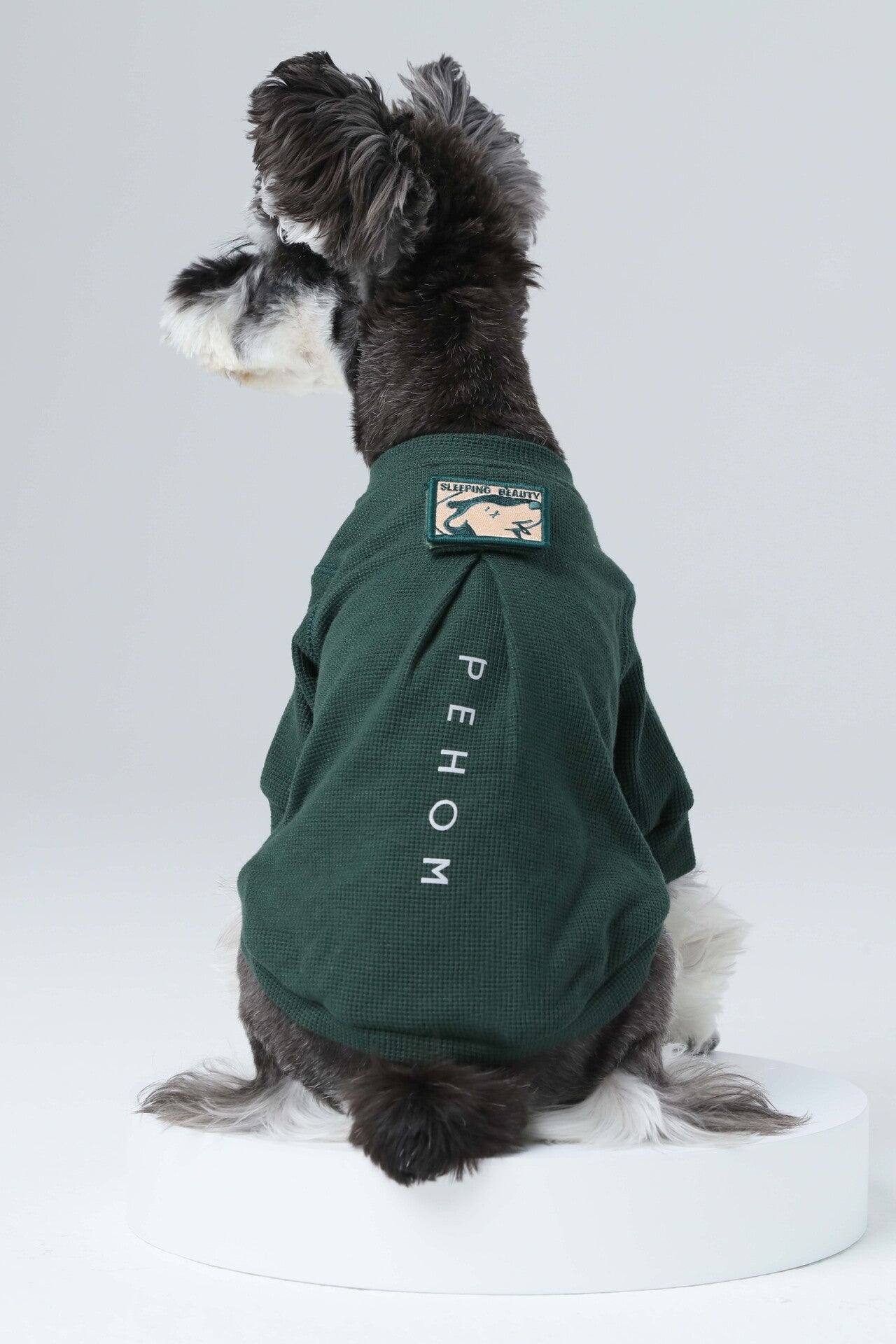 Embroidery Waffle T Shirt Green Dog Apparel Premium Pet - lifestyle view