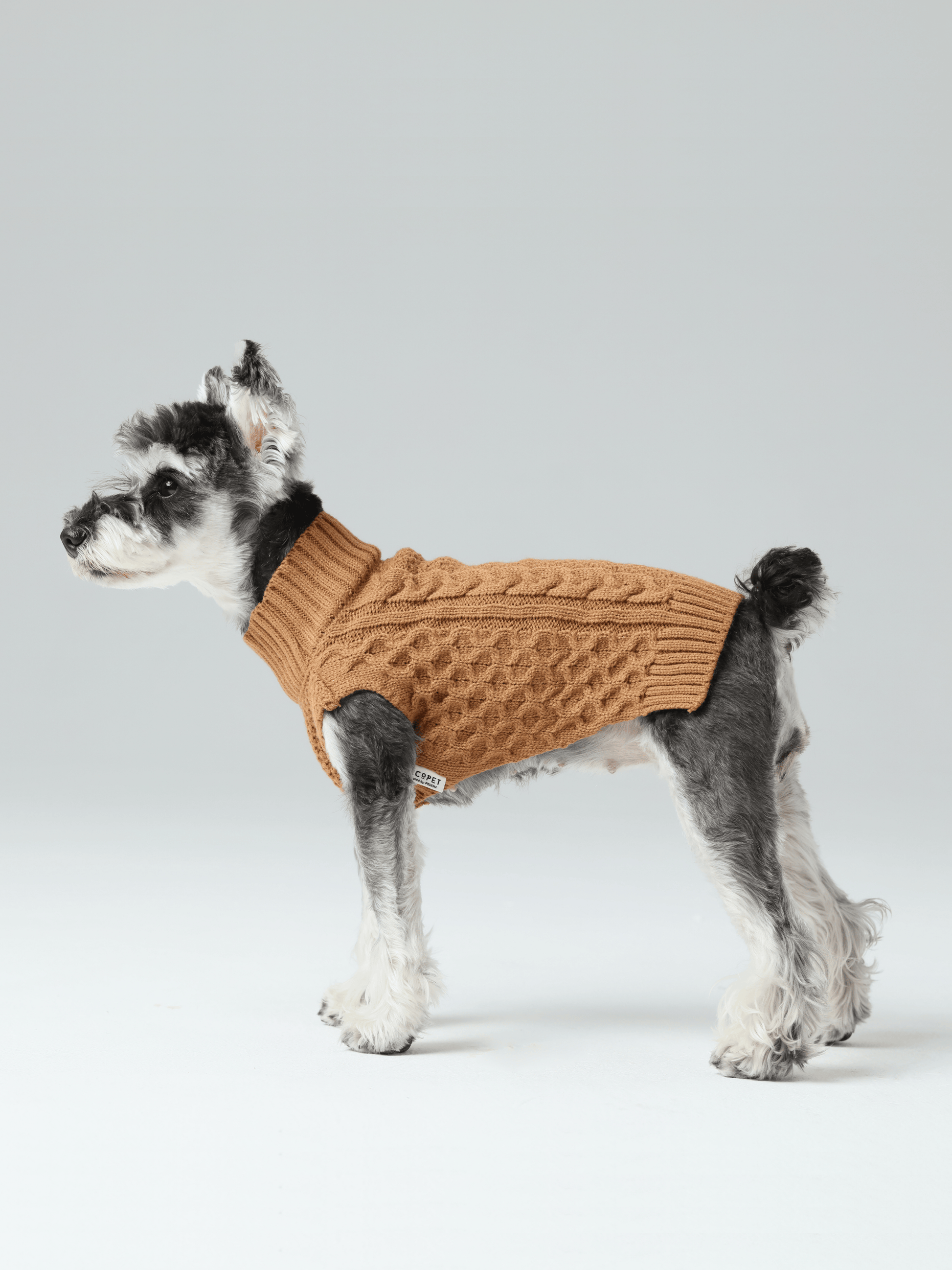 Pet Sweater Vest Toffee Orange Dog Sweaters Premium Pet - lifestyle view