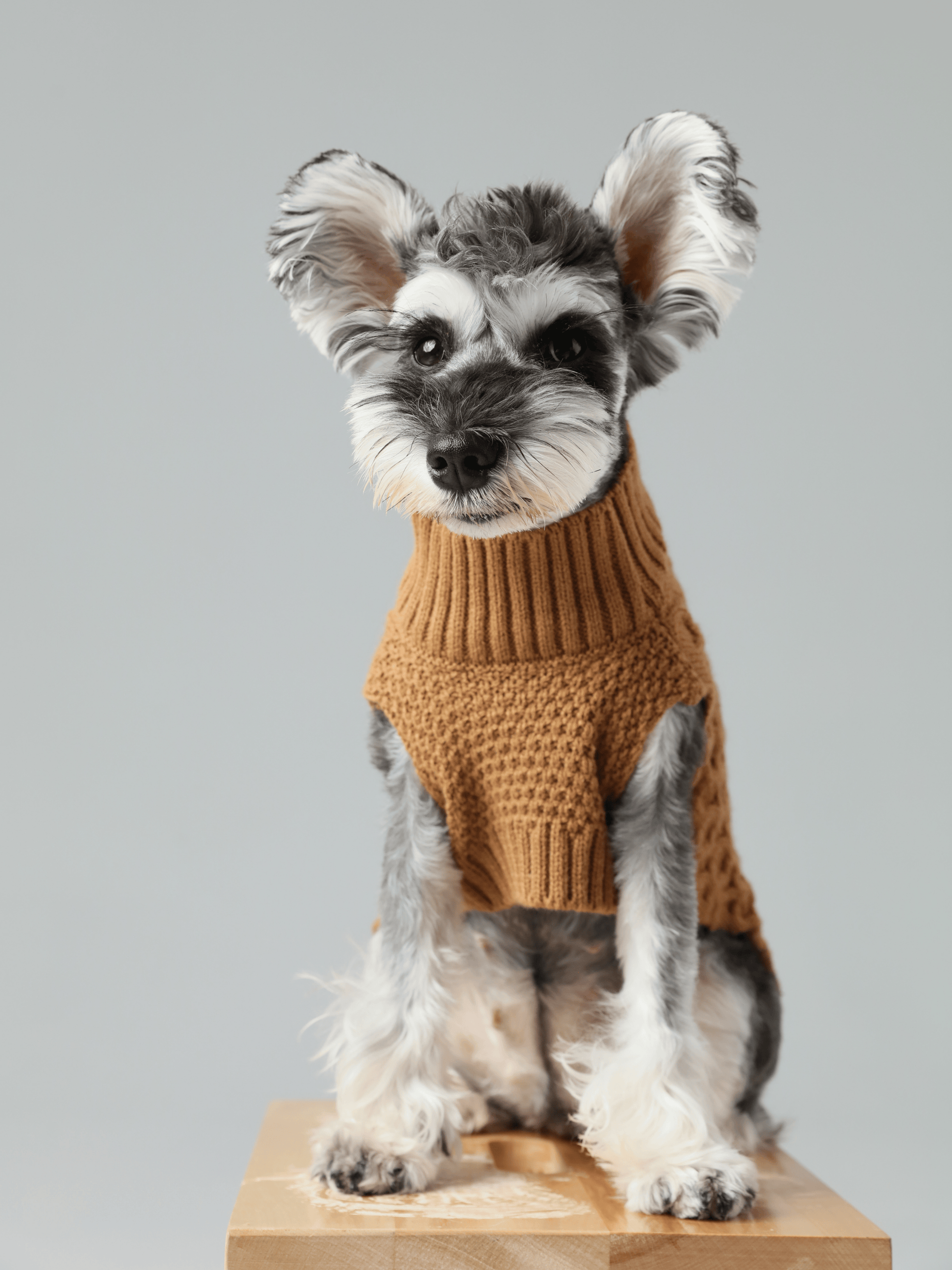 Pet Sweater Vest Toffee Orange Dog Sweaters Premium Pet - close up view