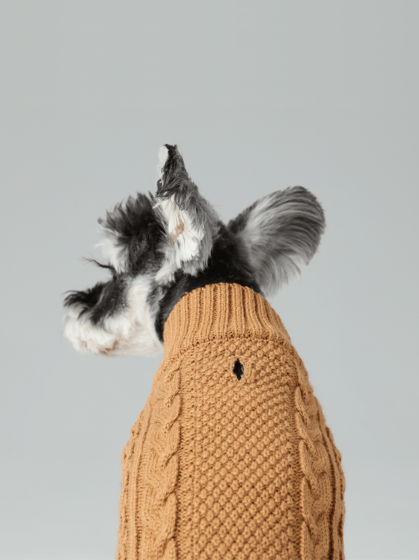 Pet Sweater Vest Toffee Orange Dog Sweaters Premium Pet - gallery image 5