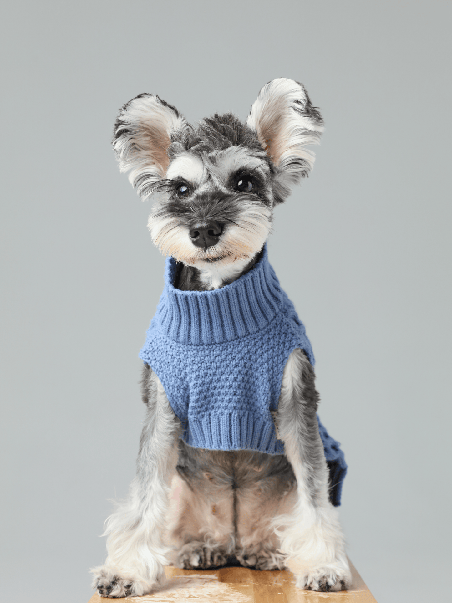 Dog Sweaters Adjustable Blue Premium Pet Supply Premium Pet - lifestyle view