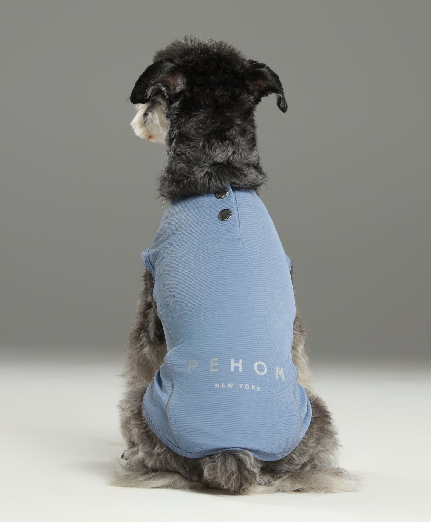 Chill Vest Shirt Blue Dog Apparel Premium Pet Supply Premium - lifestyle view