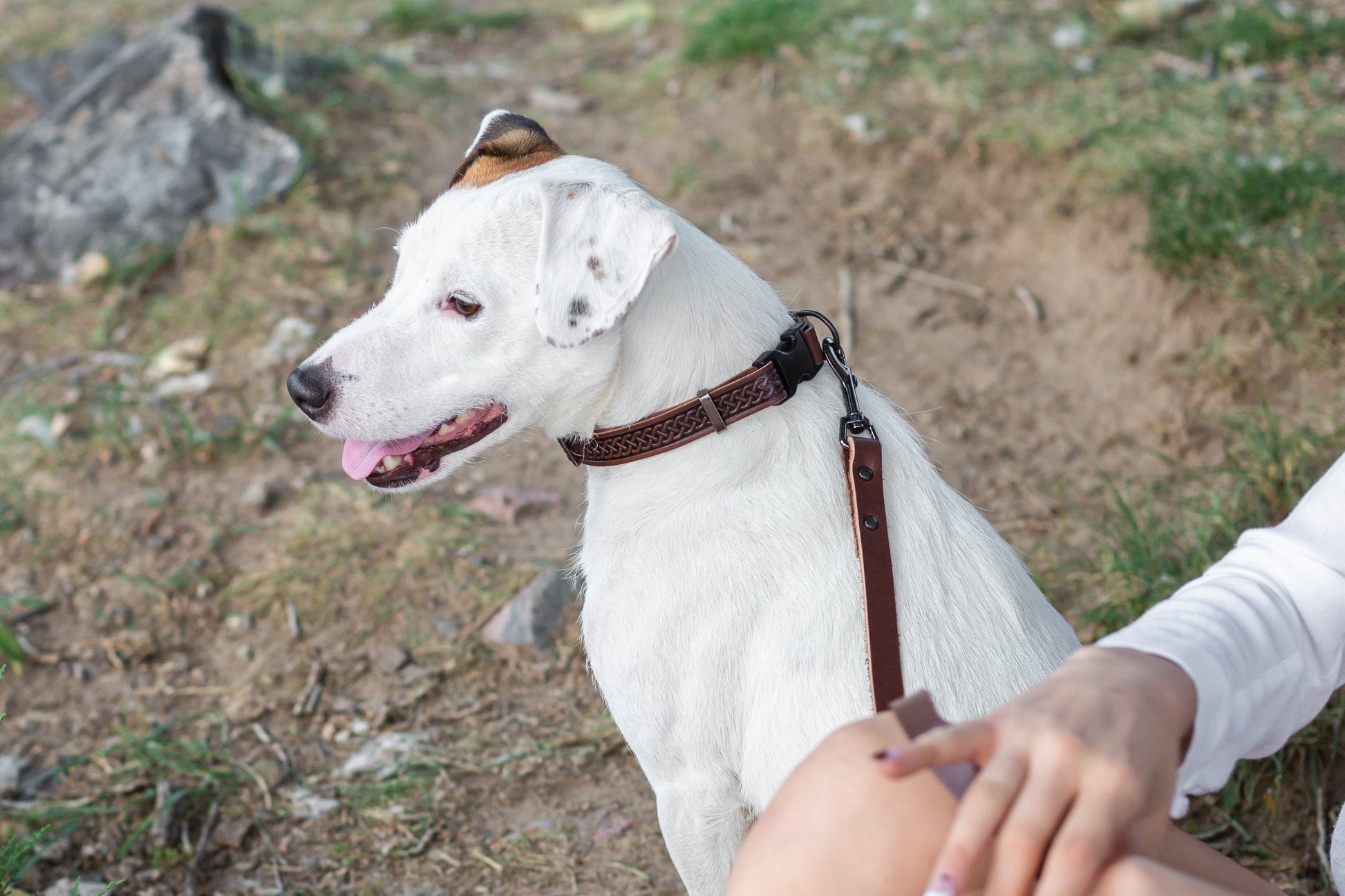 Dog Collar Celtic Sport Chocolate Leather Collar for Comfort - size and texture image for dog collar