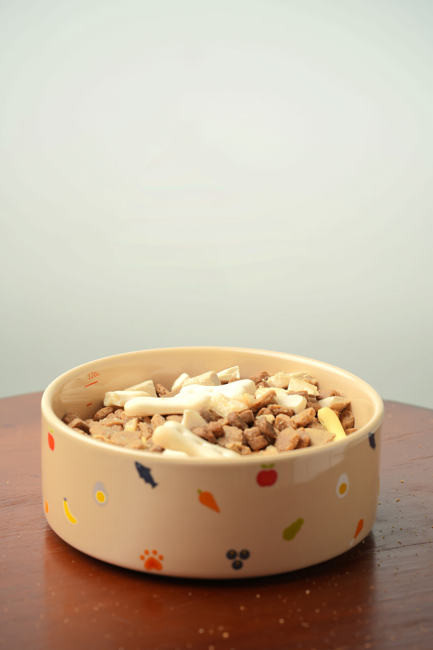 Nomnom Bowl Pet Feeding Hydration Supply Premium - gallery image 9