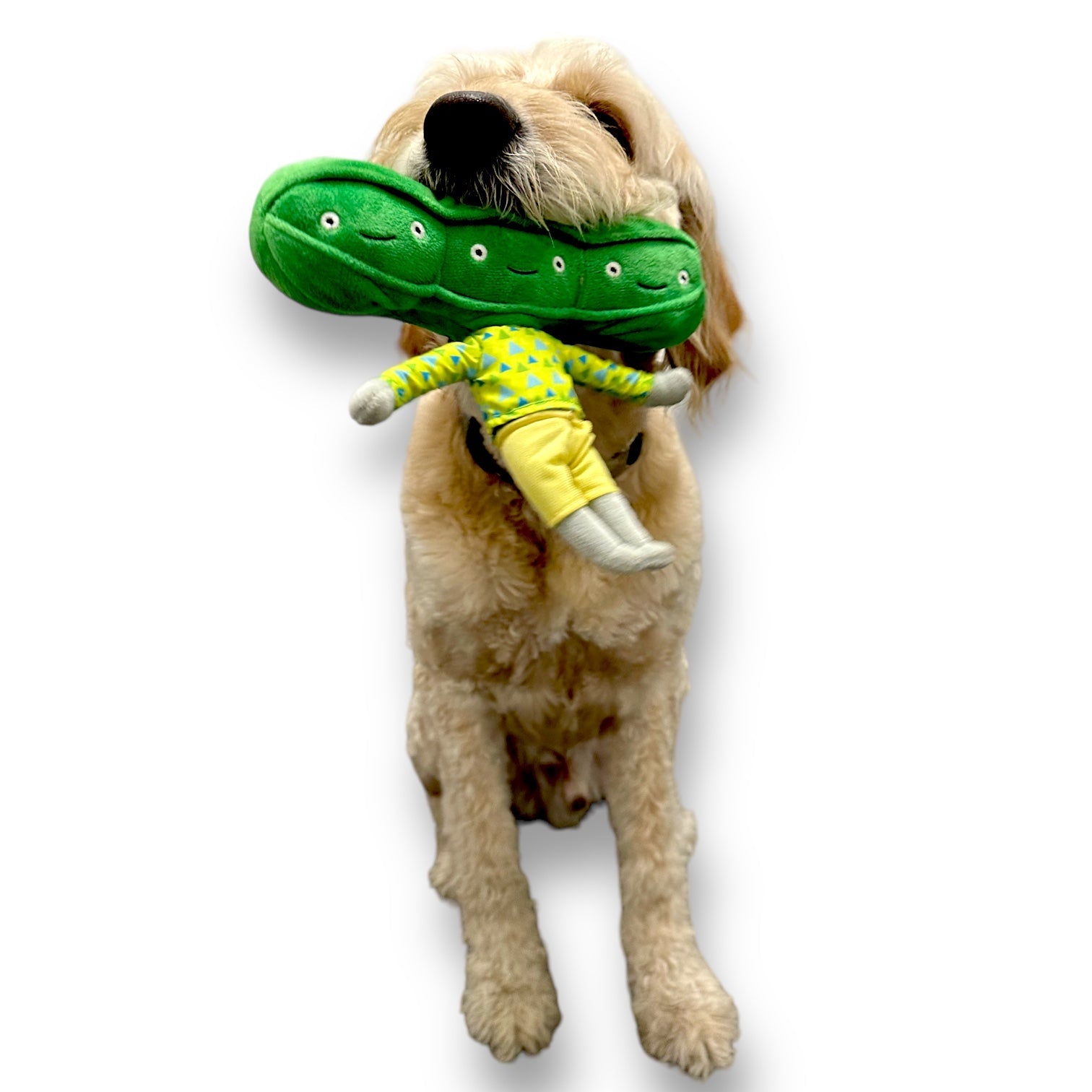 Pea Nose Work Dog Toy - gallery image 6