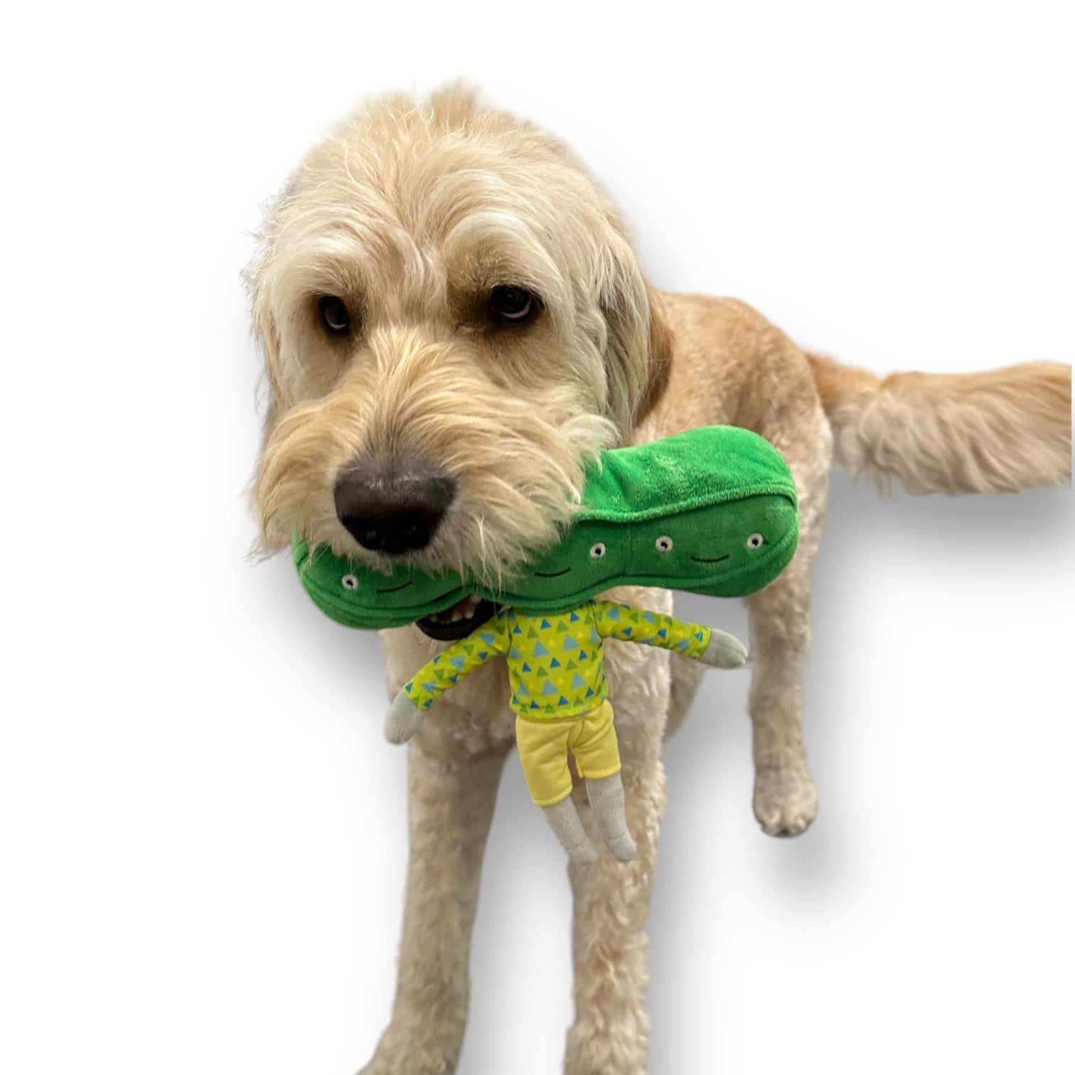 Pea Nose Work Dog Toy - detail view
