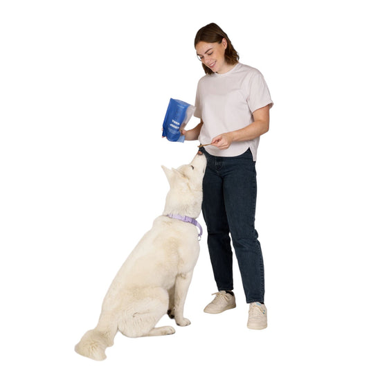Tuna Jerky Dog Treats - main product image