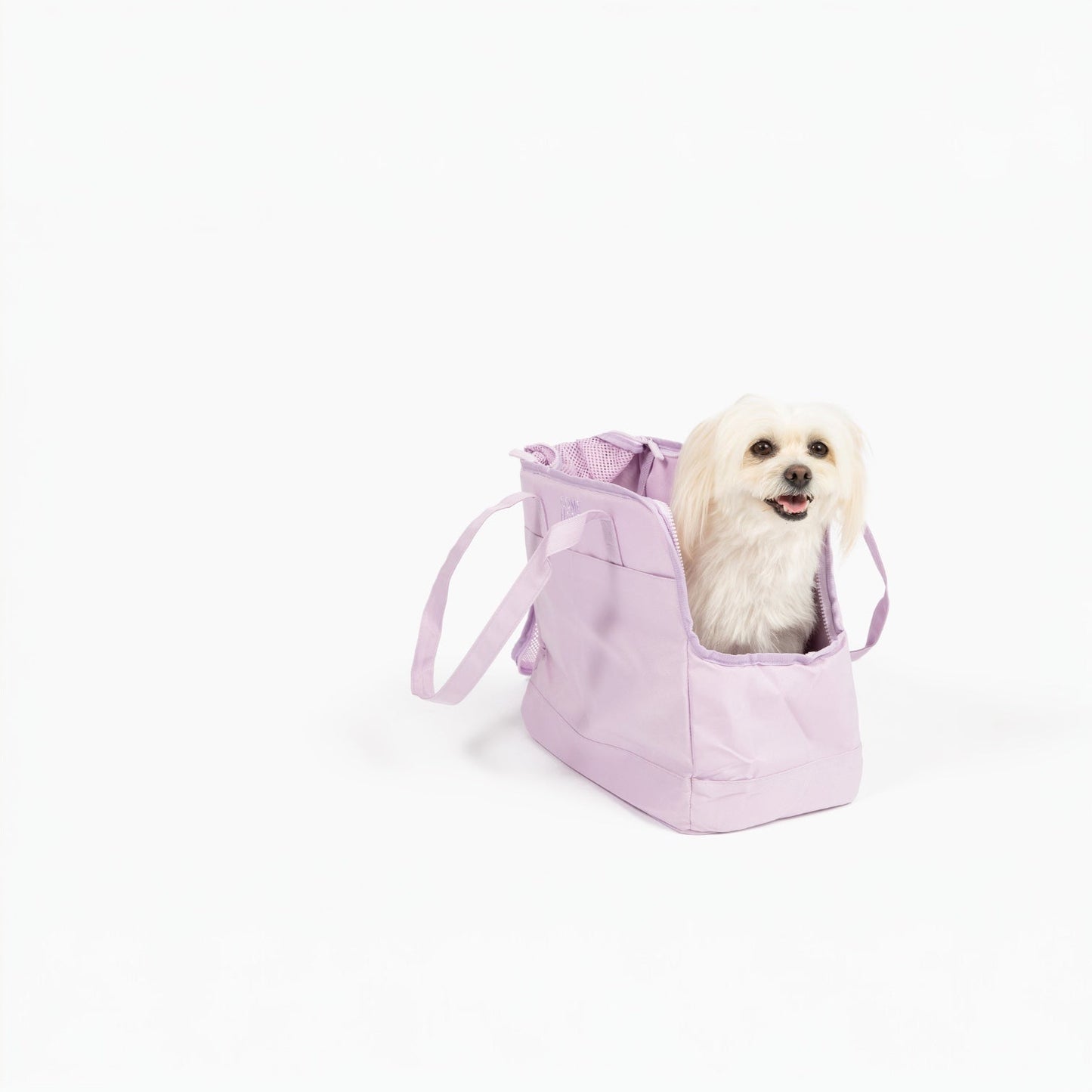 Come Here Buddy Pet Tote Bag - gallery image 6