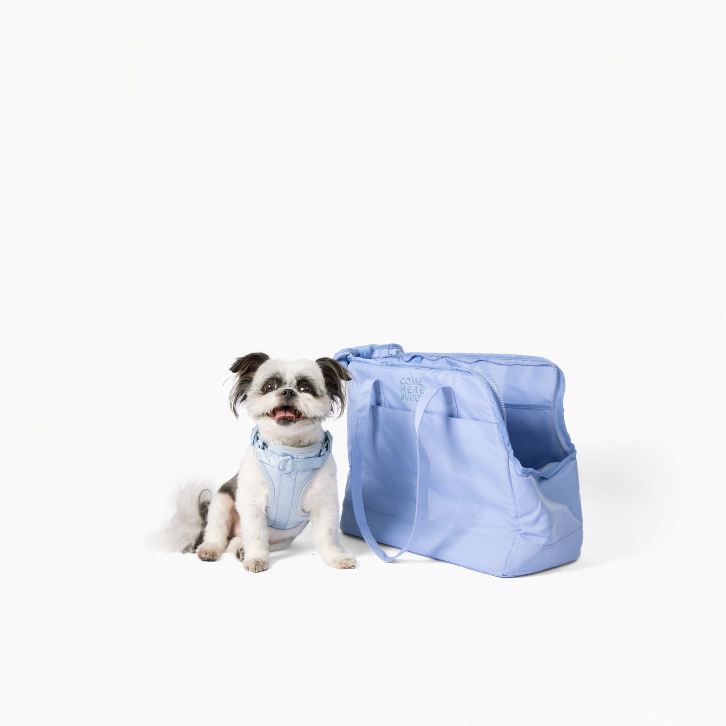 Come Here Buddy Pet Tote Bag - gallery image 8