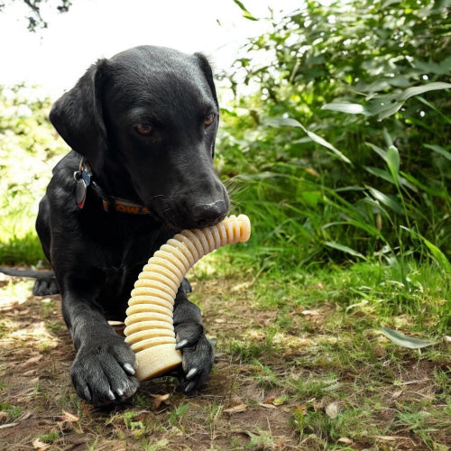 Flufflehorn Dental Antler Indestructible Nylon Dog Chew Toy - size and texture view for Dog Toys