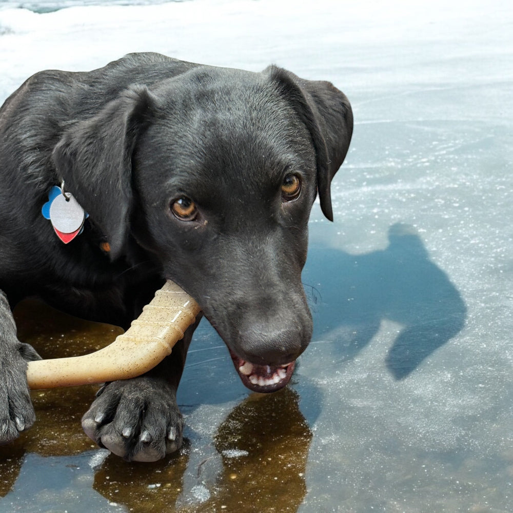 Hockey Stick Nylon Dog Chew Toy Ultra Durable For Aggressive - gallery image 6