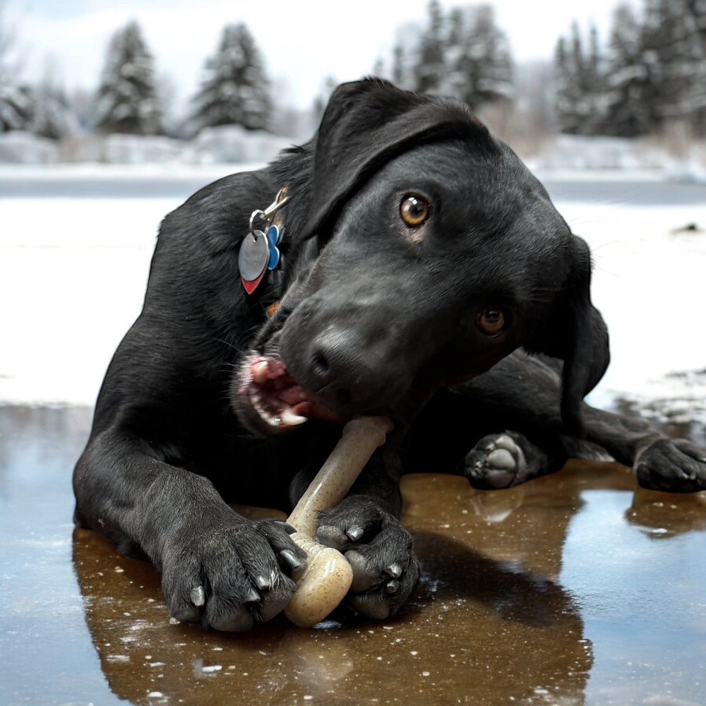 Hockey Stick Nylon Dog Chew Toy Ultra Durable For Aggressive - gallery image 8