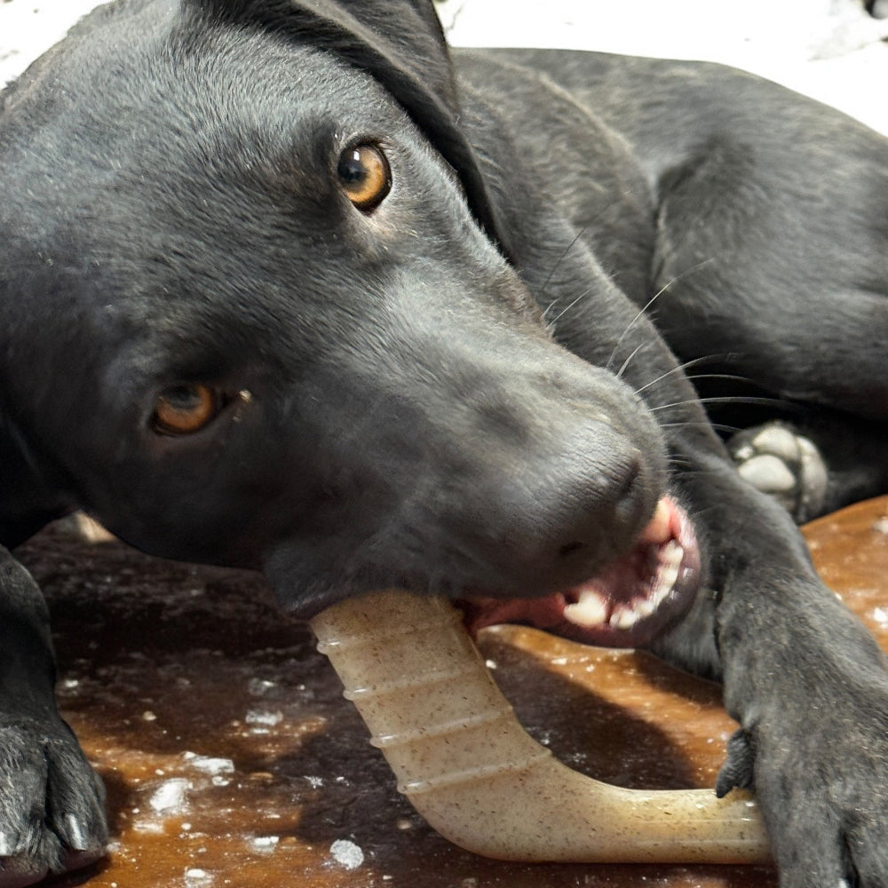 Hockey Stick Nylon Dog Chew Toy Ultra Durable For Aggressive - gallery image 9