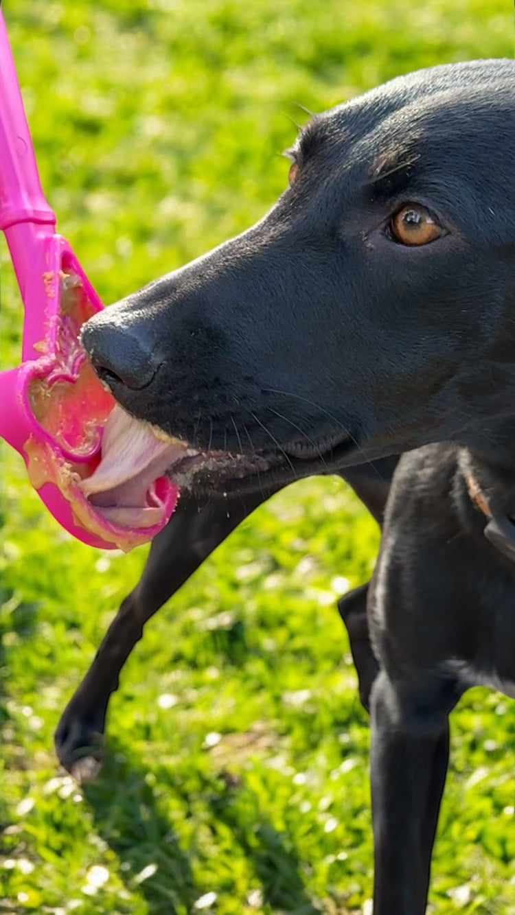 Estick Hand Held Dog Enrichment Toy Interactive Lick Stick - gallery image 15