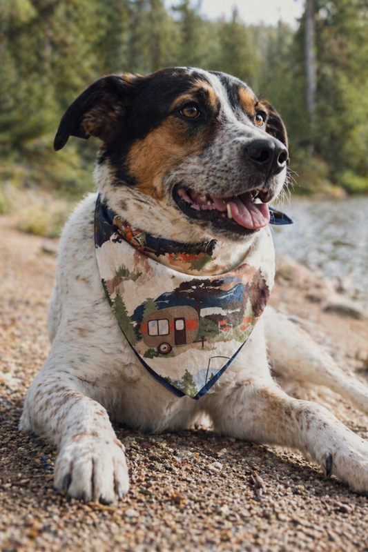 Camping Dog Bandana - detail view