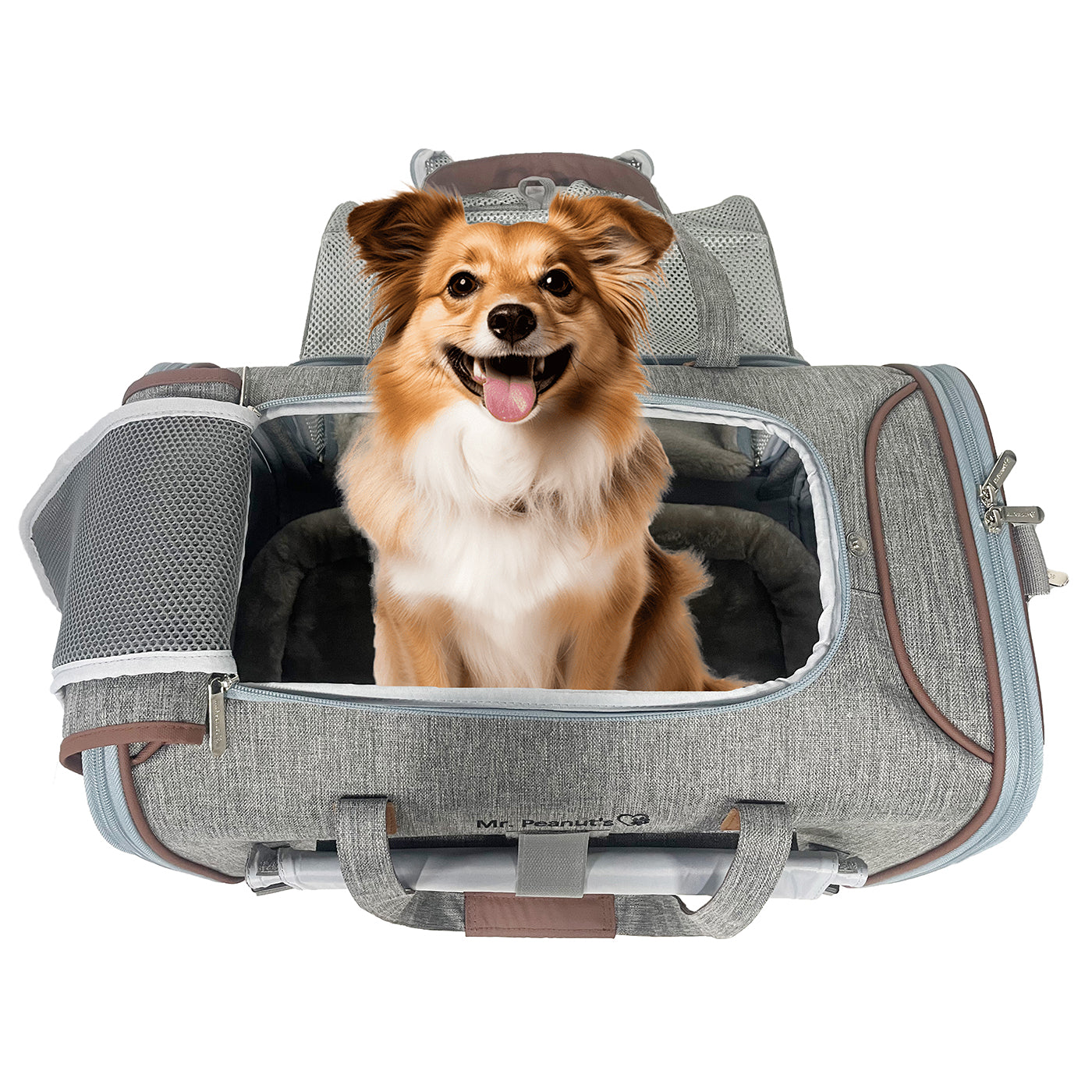 Mr. Peanut's Gold Series Standard Size Airline Compliant Expandable Pet Carrier V3.0 - gallery image 21