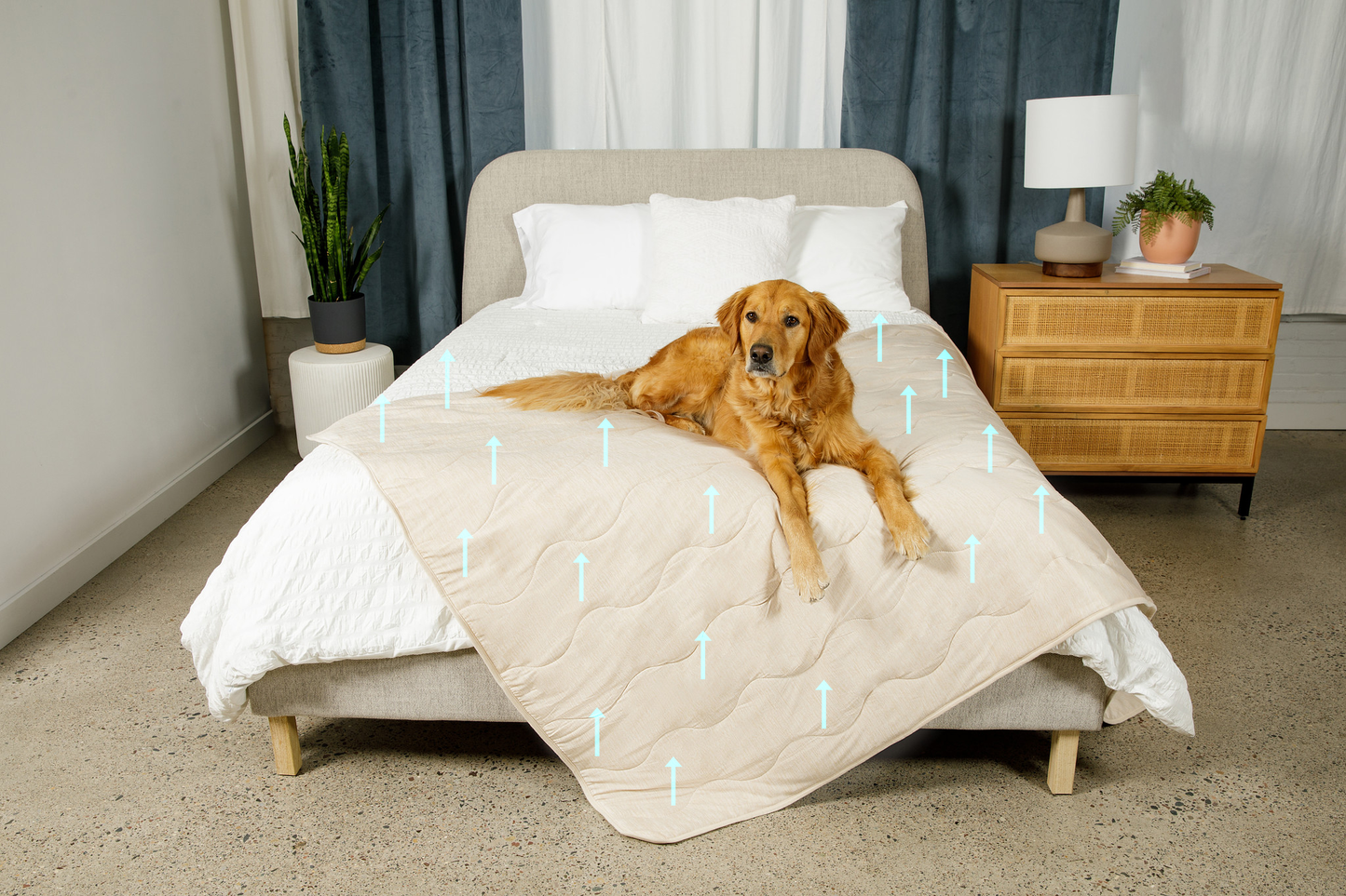 Pupchill Cooling Waterproof Blanket Arctic Sand Washable - gallery image 16