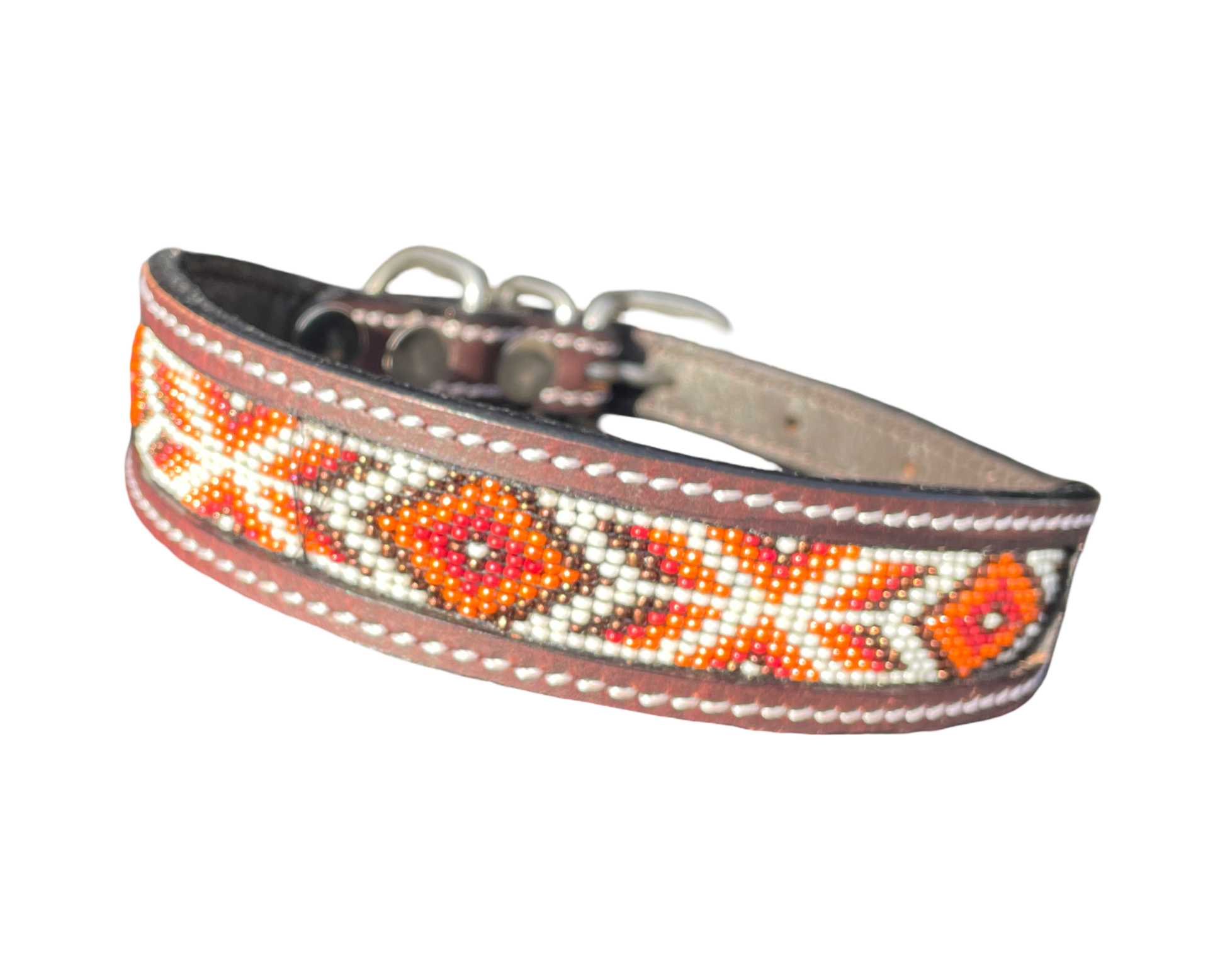 Epic Padded Leather Dog Collar with Beaded Design Dog Collar - lifestyle view