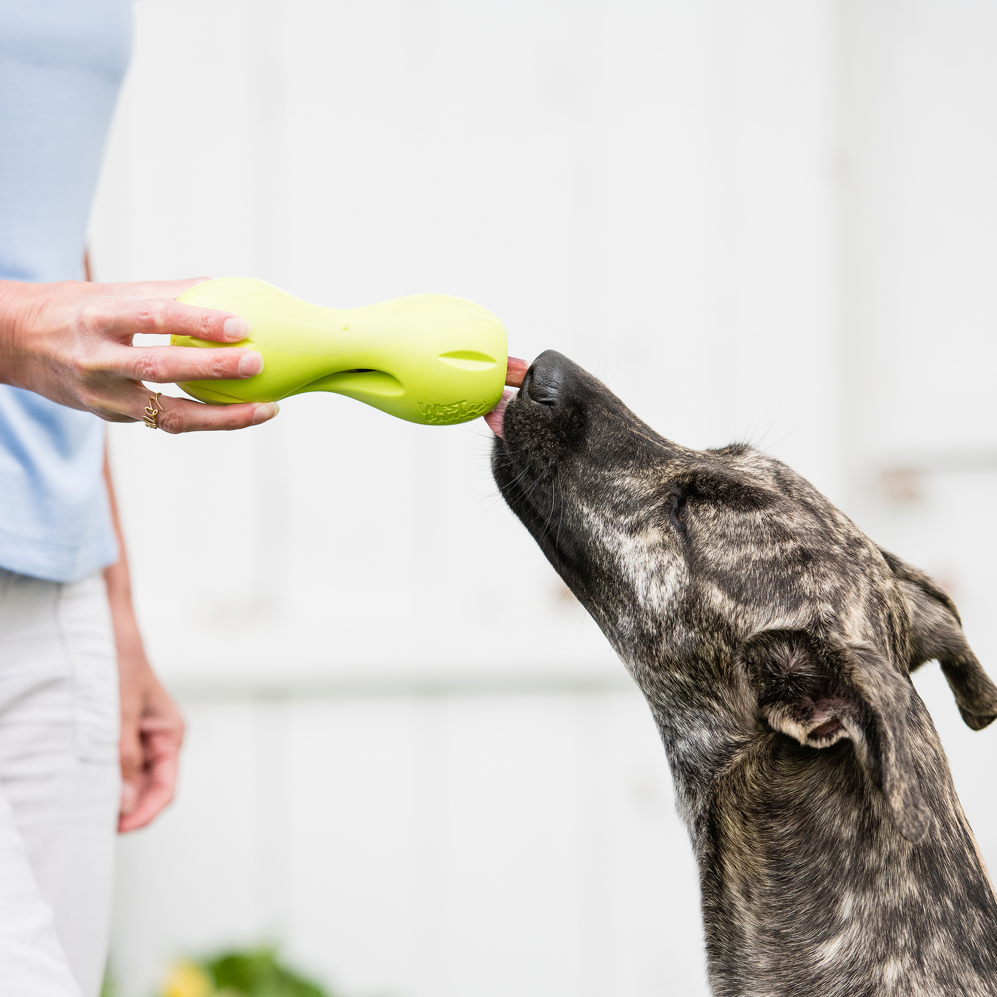 Qwizl Interactive Dog Toy Durable Play Premium - gallery image 8
