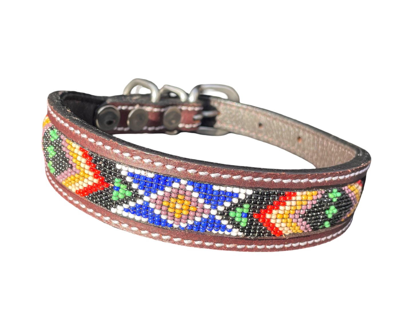 Epic Padded Leather Dog Collar with Beaded Design Dog Collar - lifestyle view