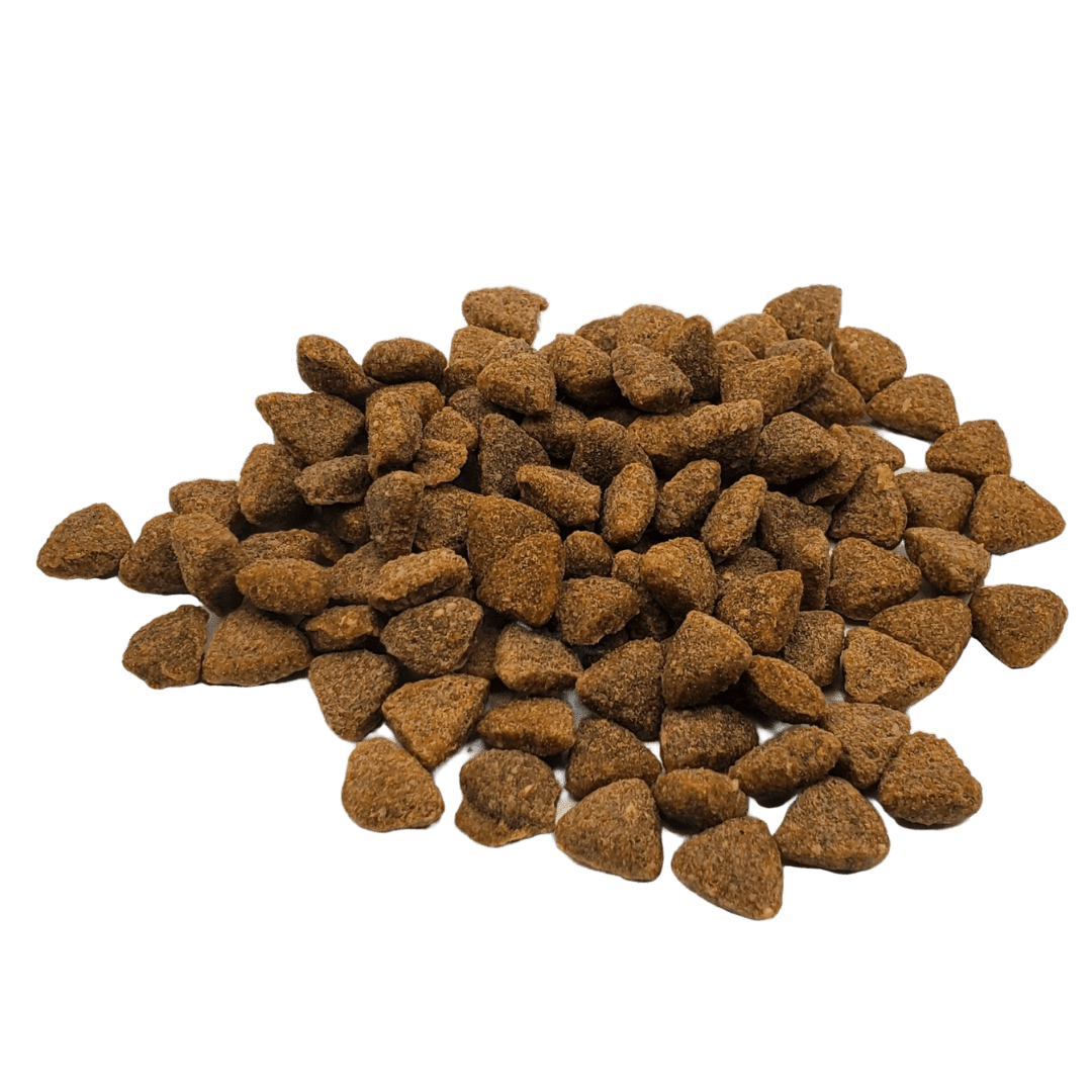 Rawz Dehydrated Chicken Turkey Chicken Cat Food Recipe Dry - lifestyle view