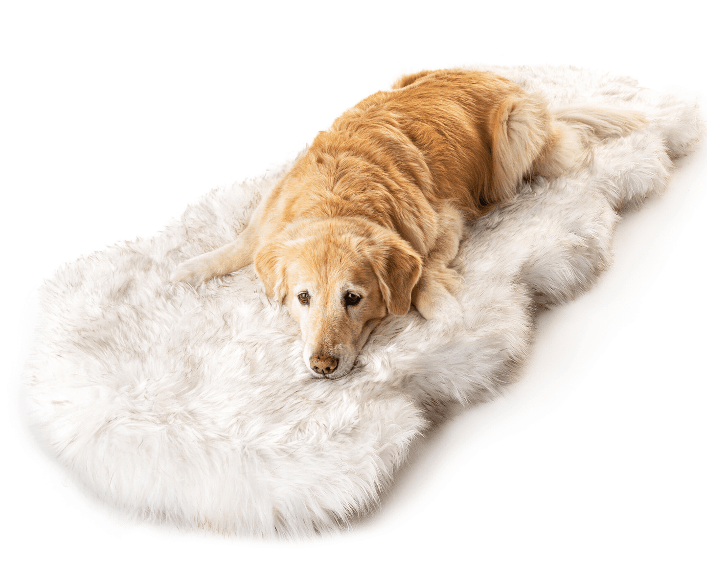 Puprug Runner Faux Fur Memory Foam Dog Bed Curve White With - lifestyle view