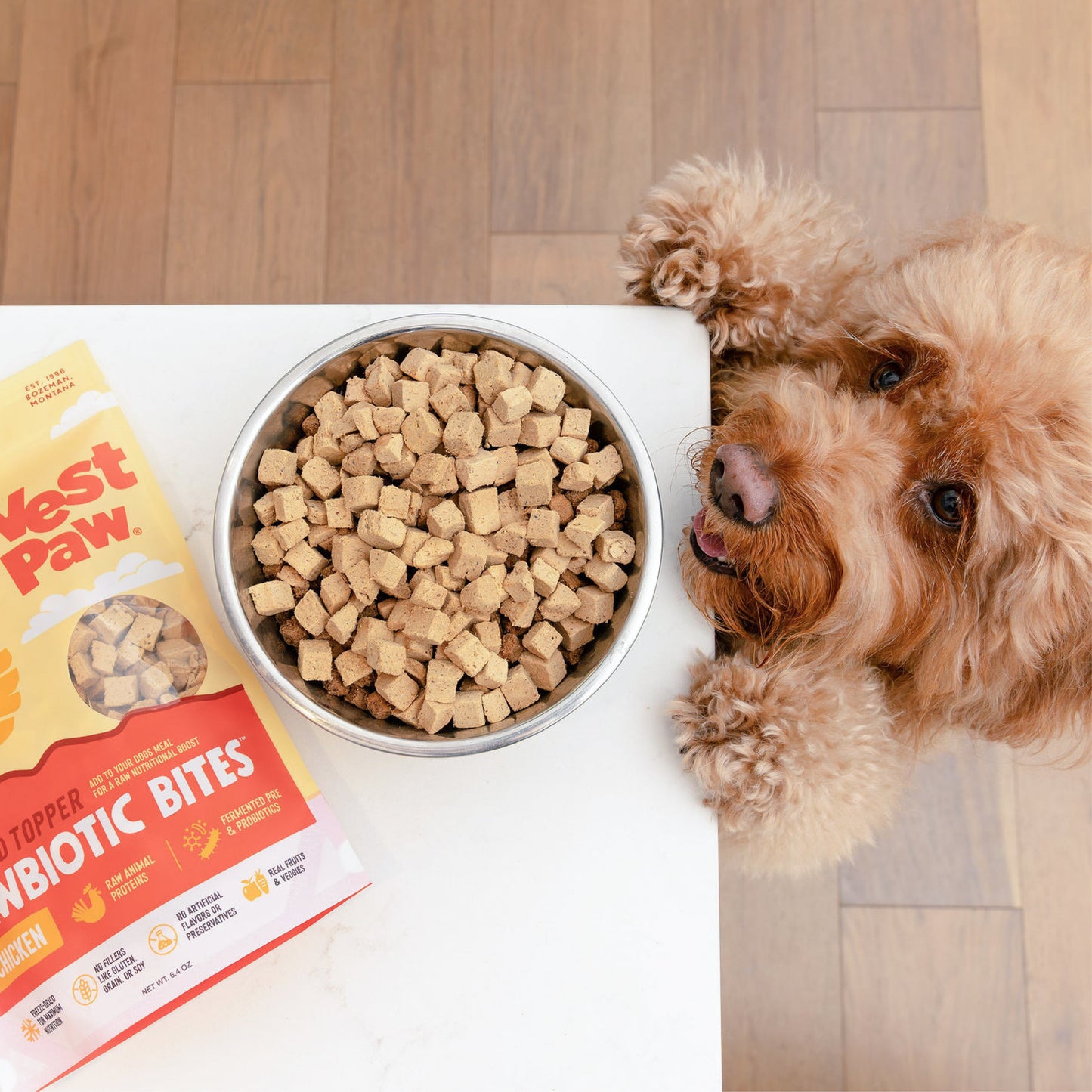 Dry Dog Food Chicken Meal Topper Daily Nutrition Boost - lifestyle view