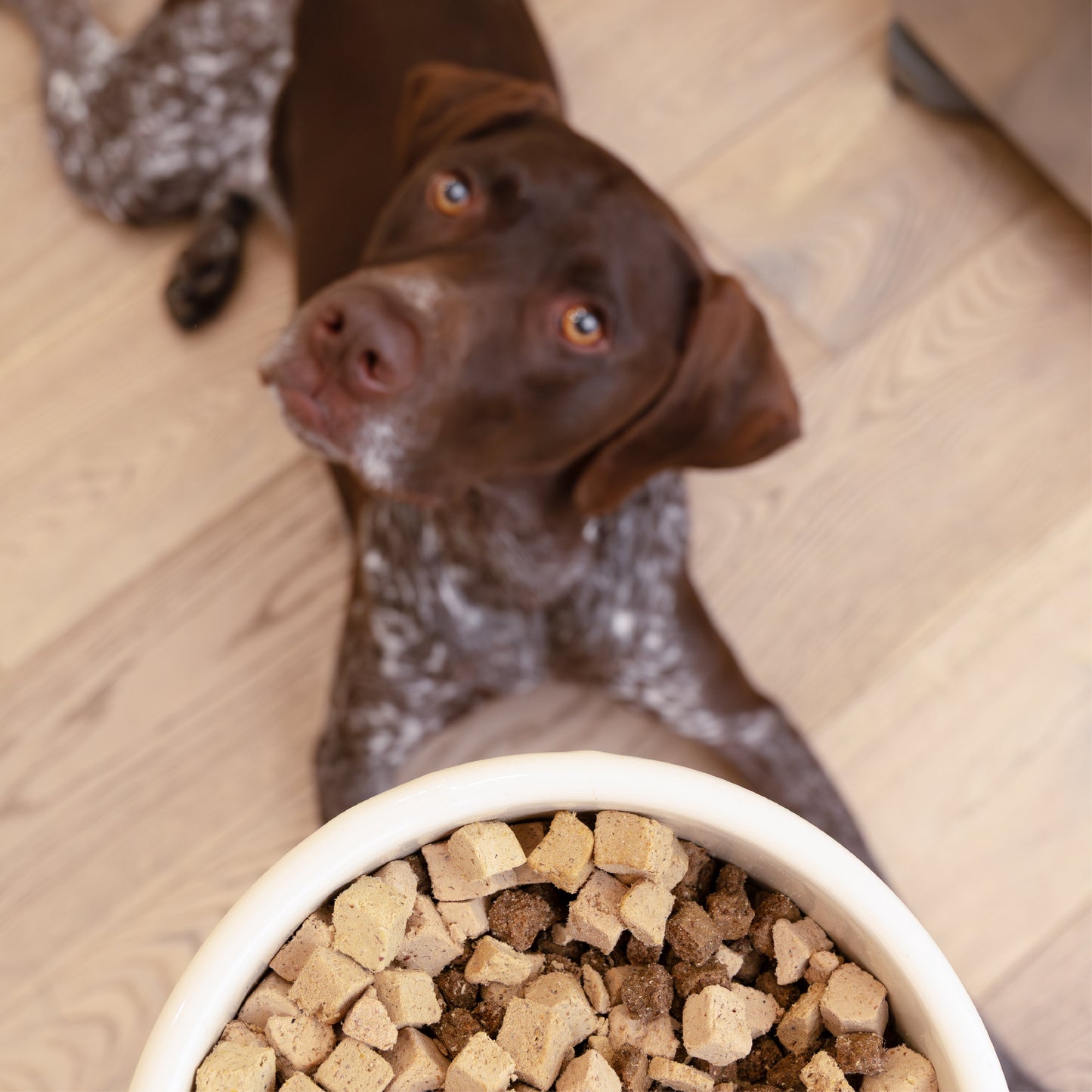 Dry Dog Food Trout Beef Meal Topper Daily Nutrition - gallery image 5