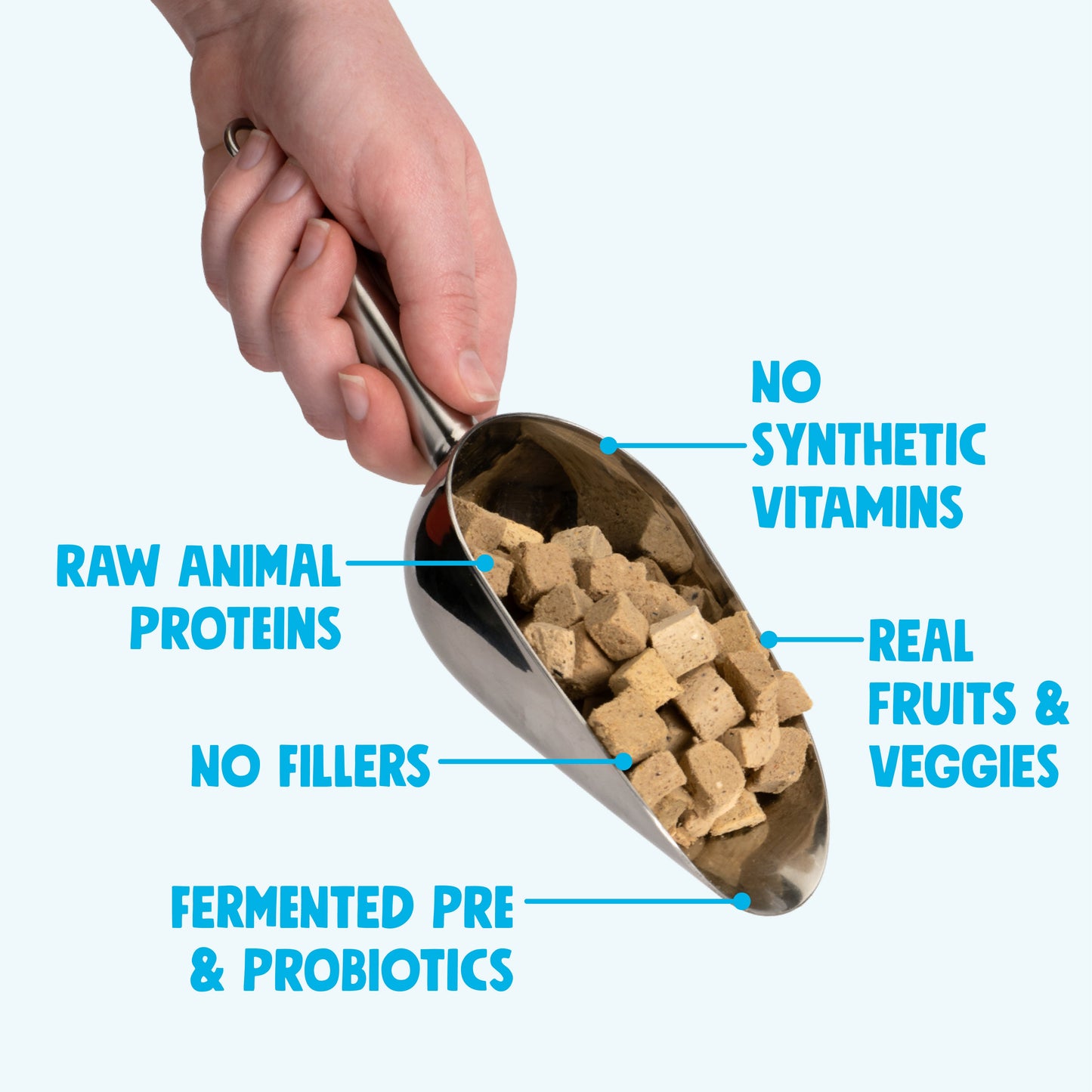 Dry Dog Food Trout Beef Meal Topper Daily Nutrition - close up view