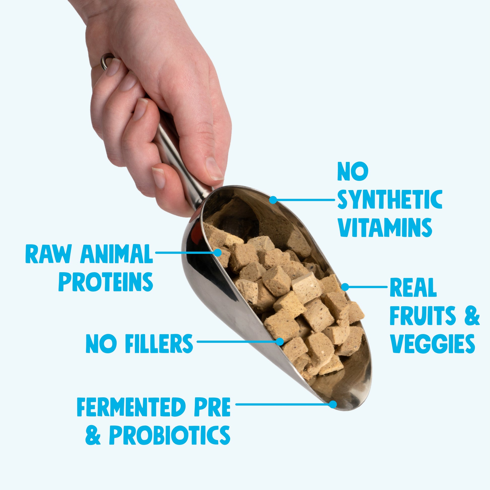 Dry Dog Food Chicken Meal Topper Daily Nutrition Boost - close up view
