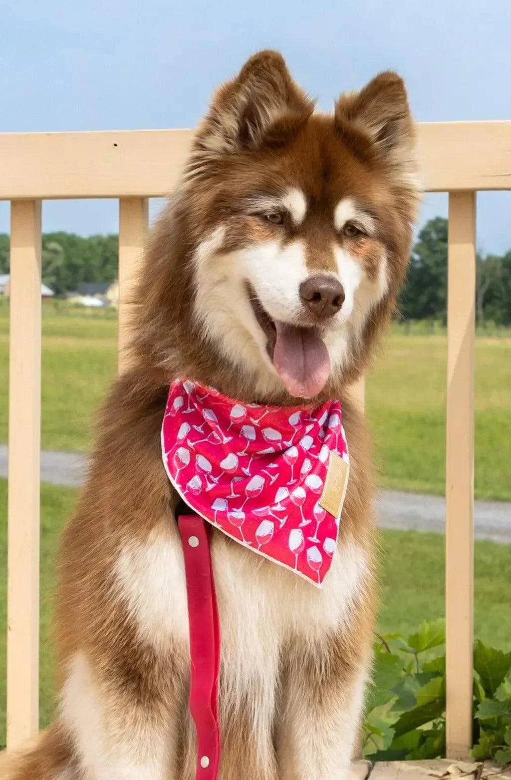 Red Mountain Syrah Dog Bandana Dog Bandanas Premium Pet - detail view