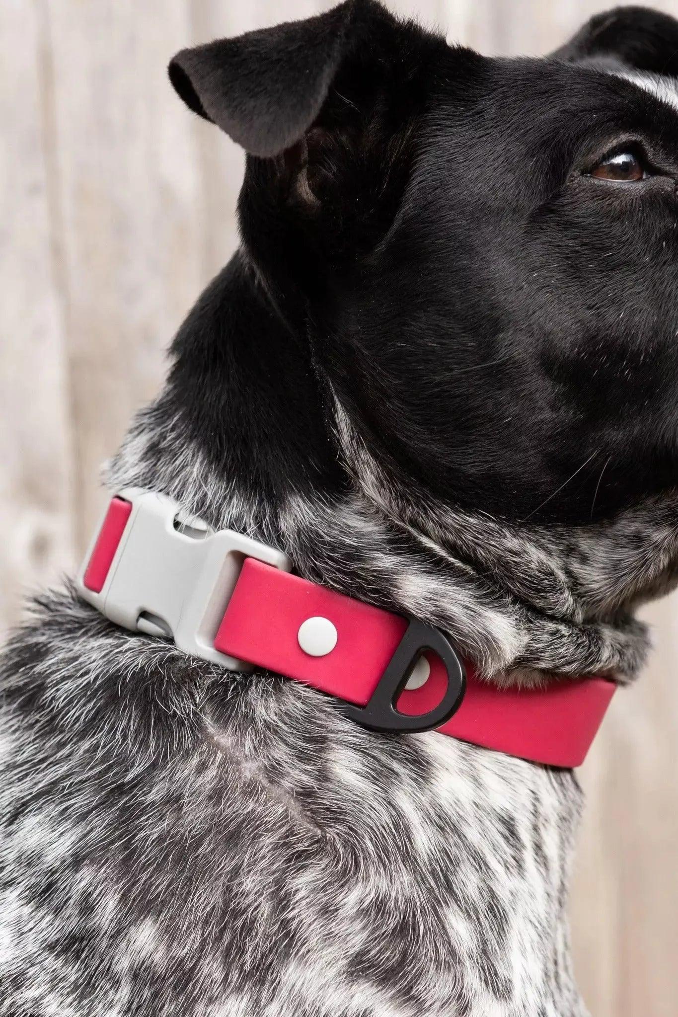 Dog Collars Adjustable Walking Gear Adjustable Red Comfort - detail view