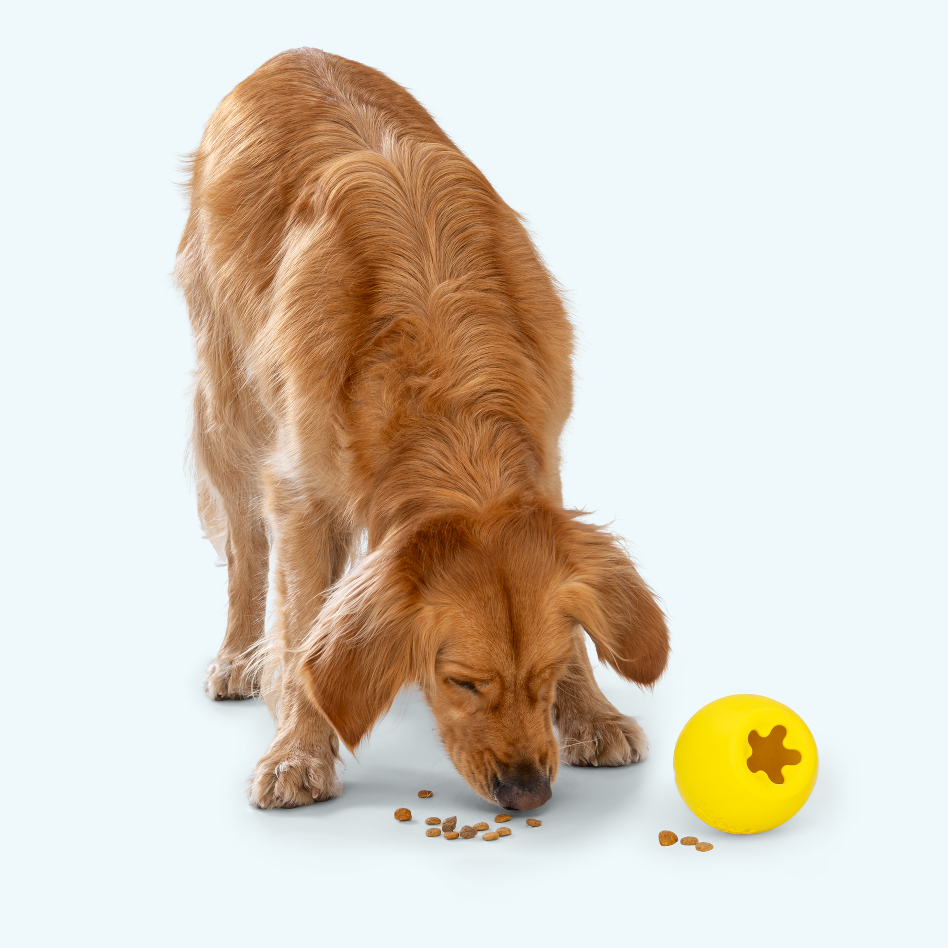 Rumbl Interactive Dog Toy Durable Play Premium - gallery image 5