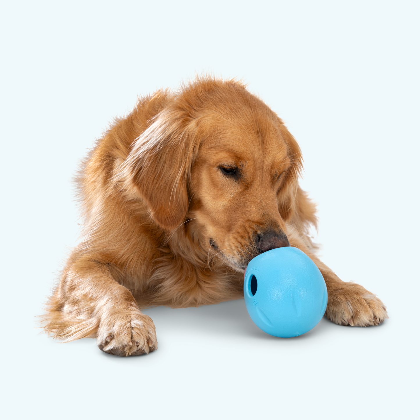 Rumbl Interactive Dog Toy Durable Play Premium - gallery image 8