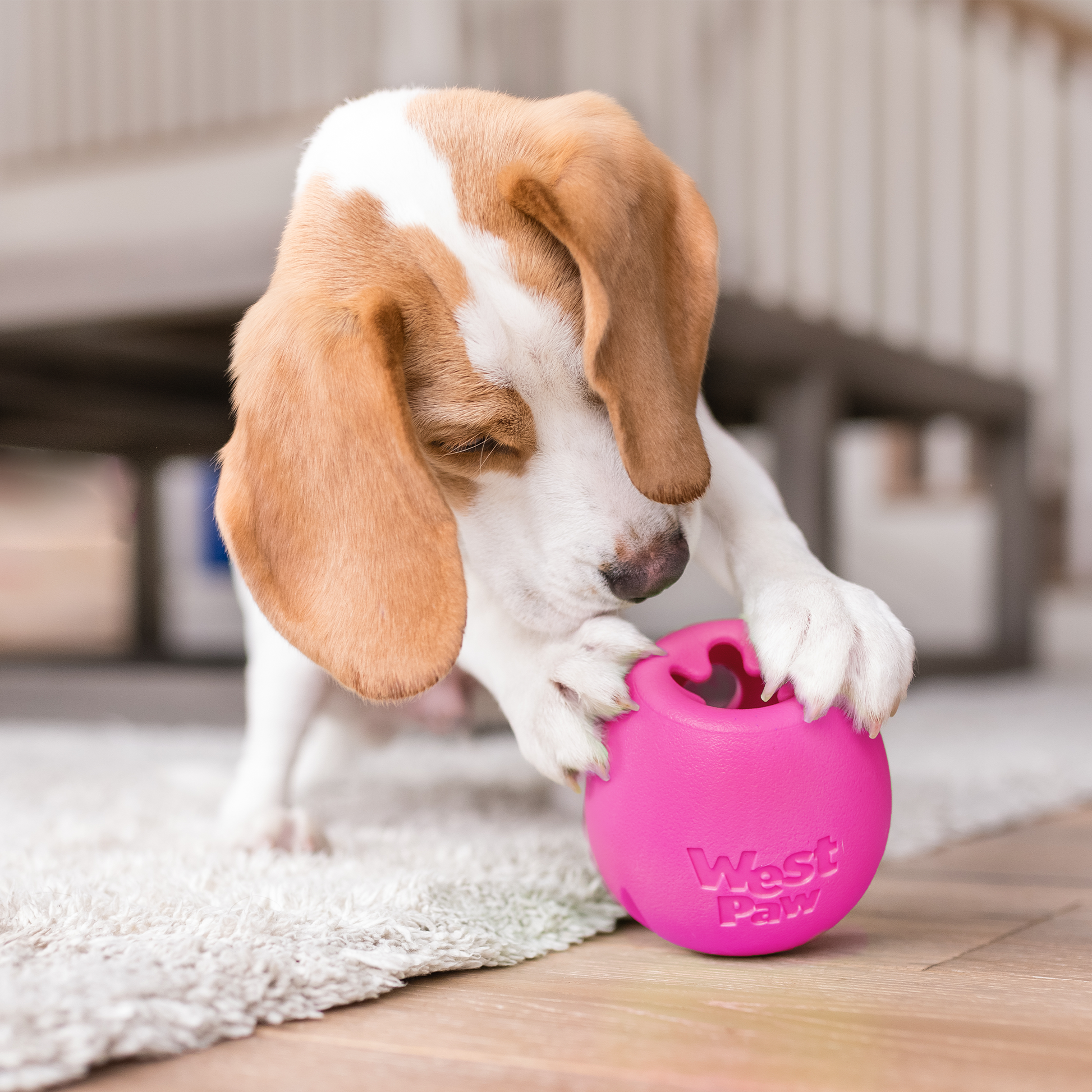 Rumbl Interactive Dog Toy Durable Play Premium - gallery image 6