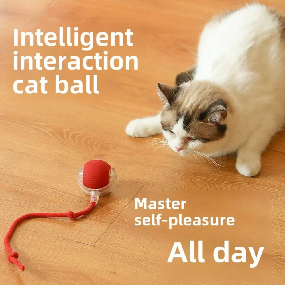 Rechargeable Smart Pet Interactive Automatic Rolling Ball Toy Cats Pet Products New Electric Dog Ball Toy Simulated Tail For