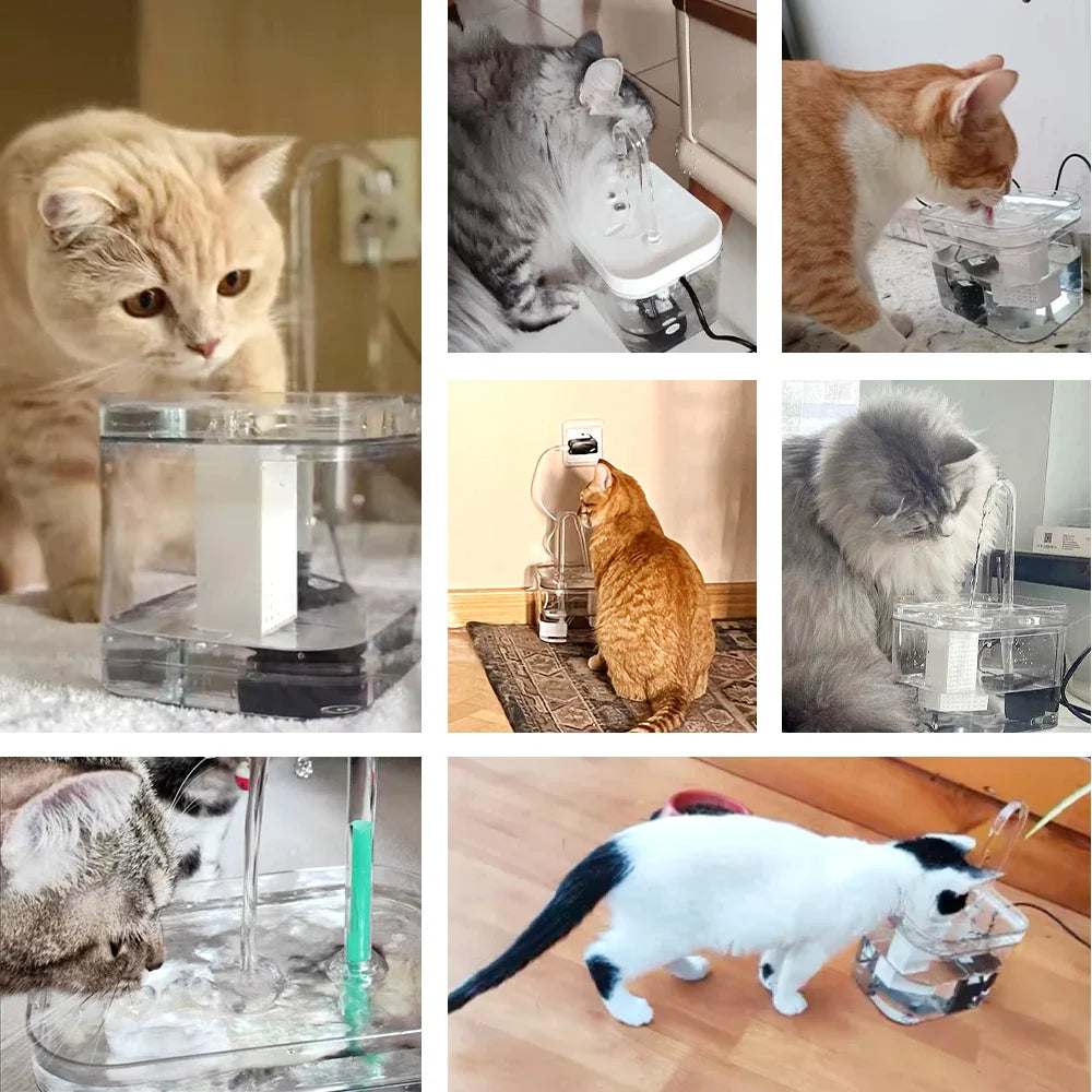 Cat Water Fountain Drinking Fountain 15L Auto Filter main product image for dogs and cats